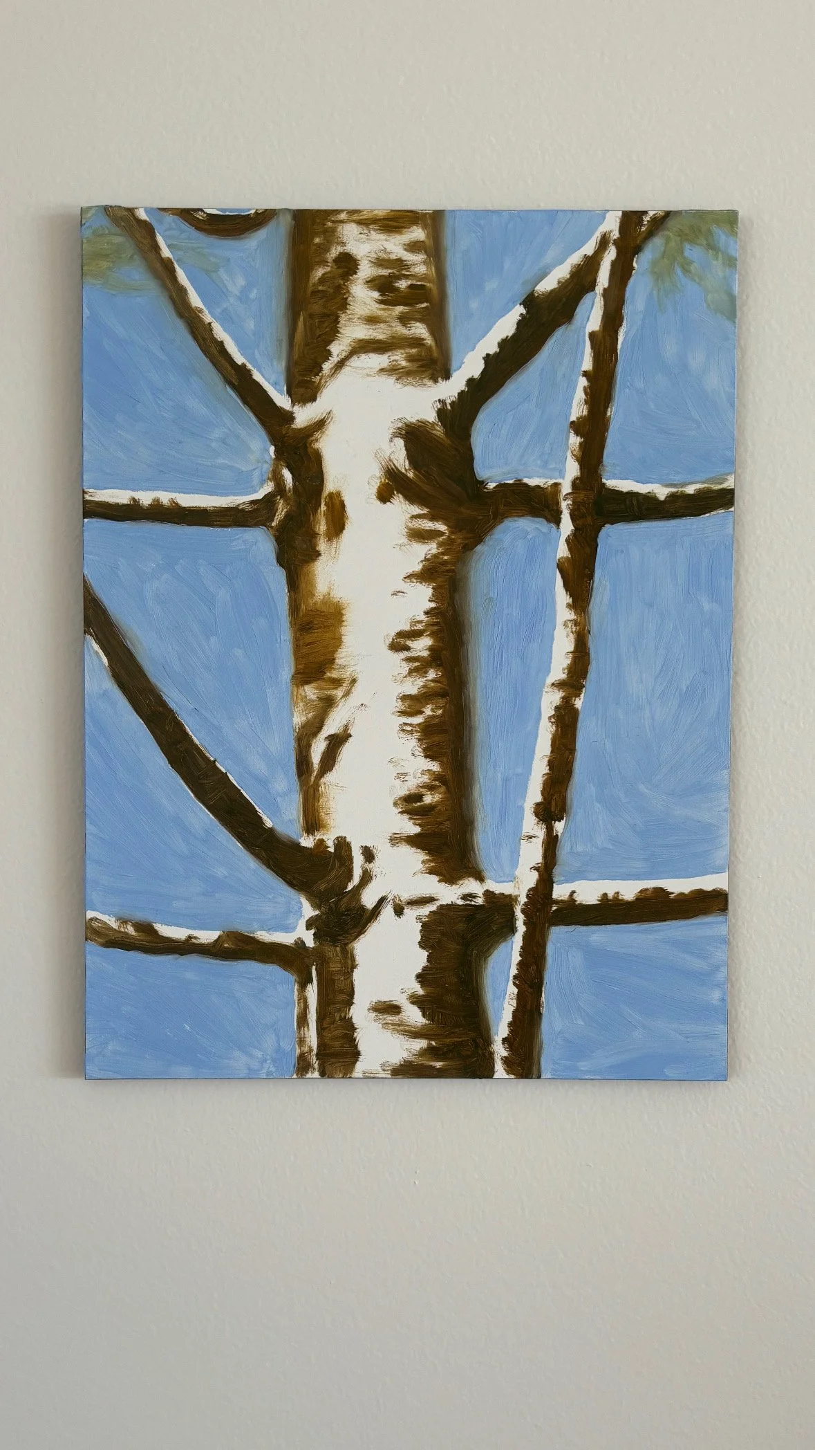 Bunya Pine II Oil on panel. 2024. Image courtesy of artist