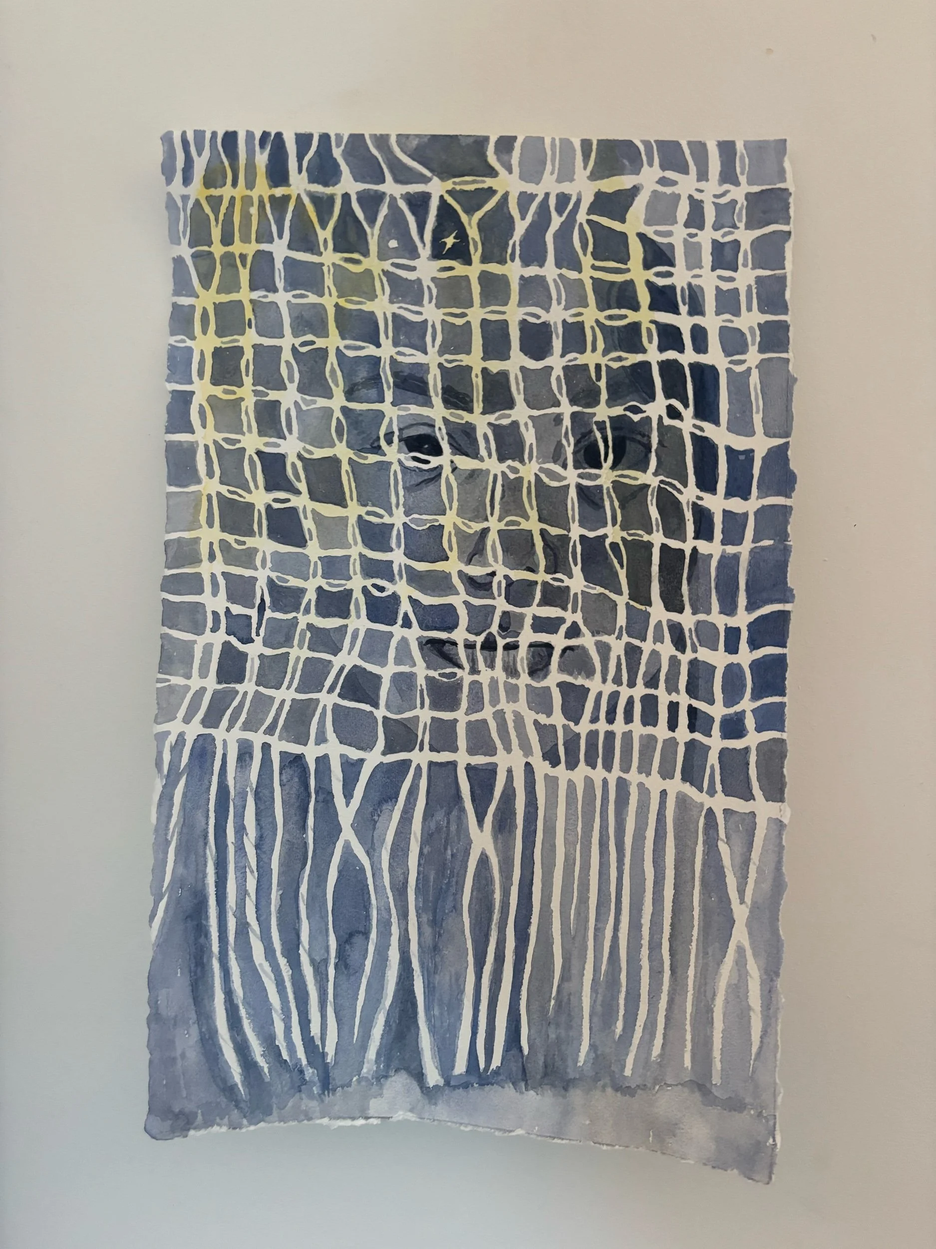 Looking Through the Imagined Net I Made 