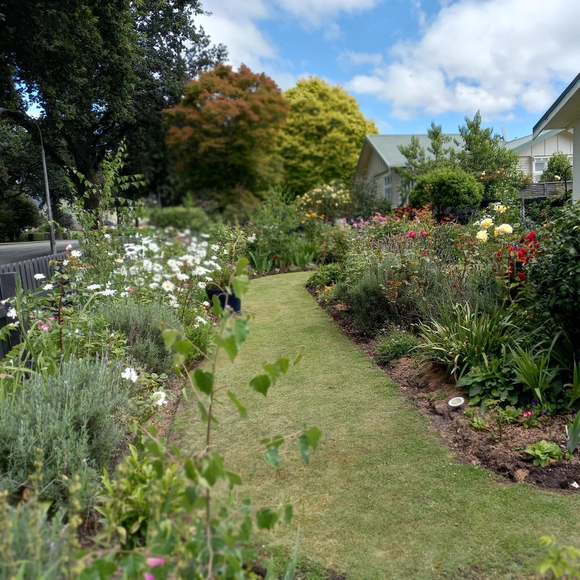 Waimate Garden Competition 2021