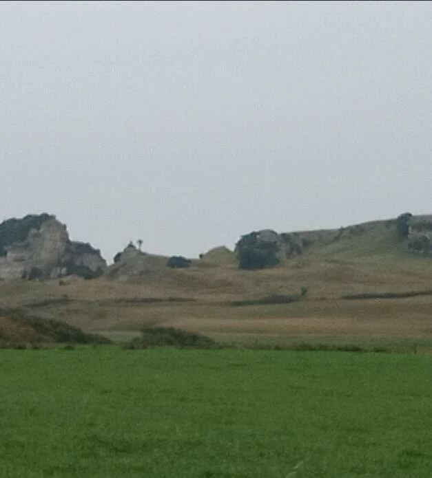 Walking Track update