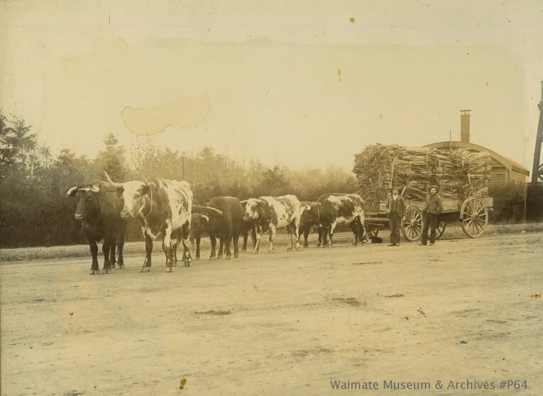 Bullock and cart carting flax, Waimate Railway Station building in backgroundWaimate Museum &amp; Archives P64