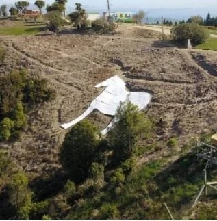 Waimate's White Horse redevelopment progress trotting on - Stuff