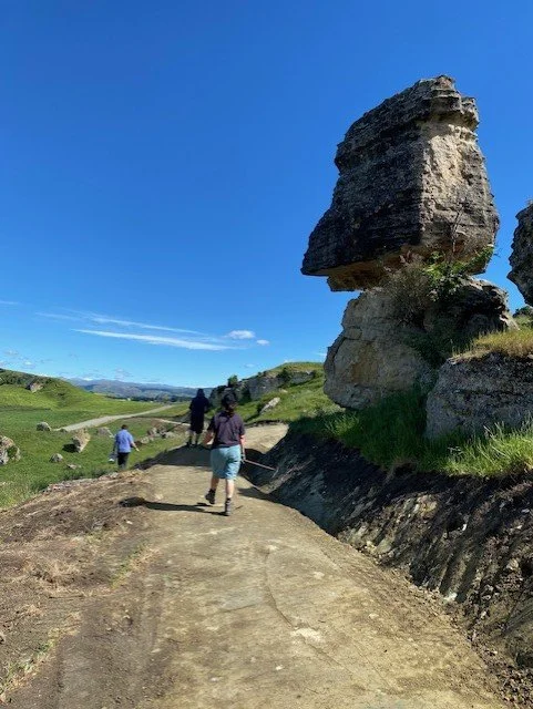 Section 1 D Working bee 2025 11 26 c.jpg