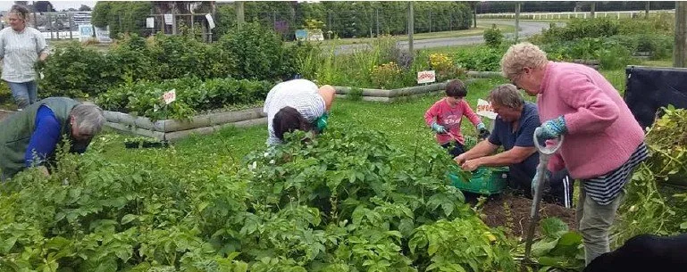 Celebrating Community - Waimate Community Garden - Growing Something Good in Waimate