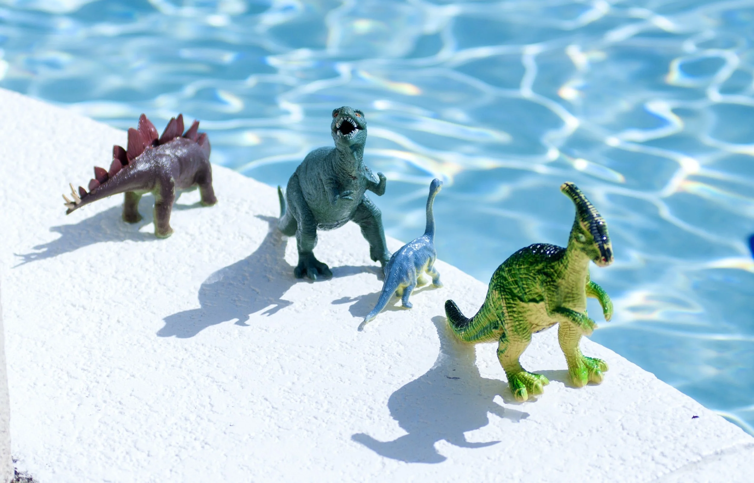 Community: The Pool