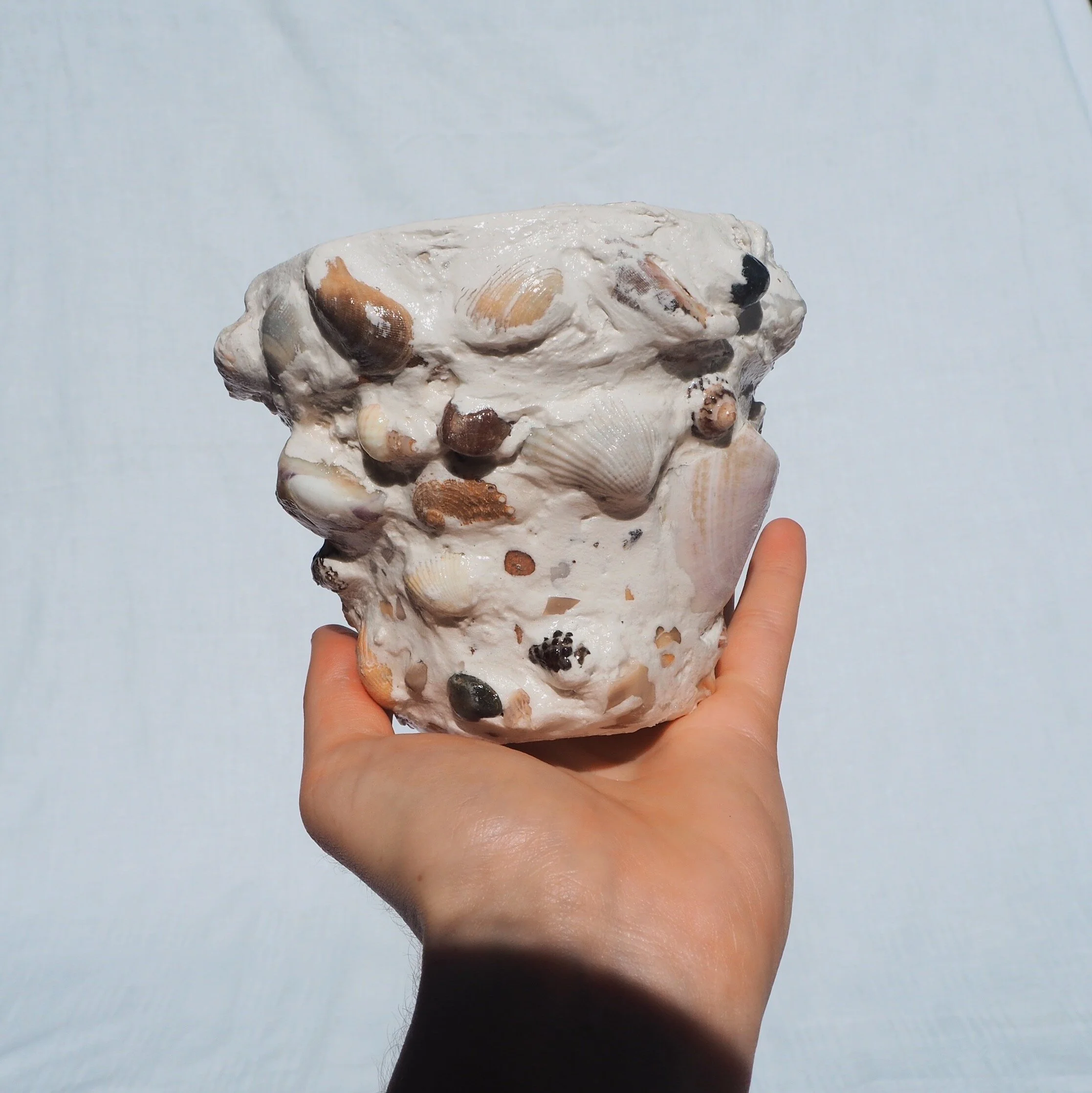 01315C6D-3B8F-4224-BE87-8B837FF90535