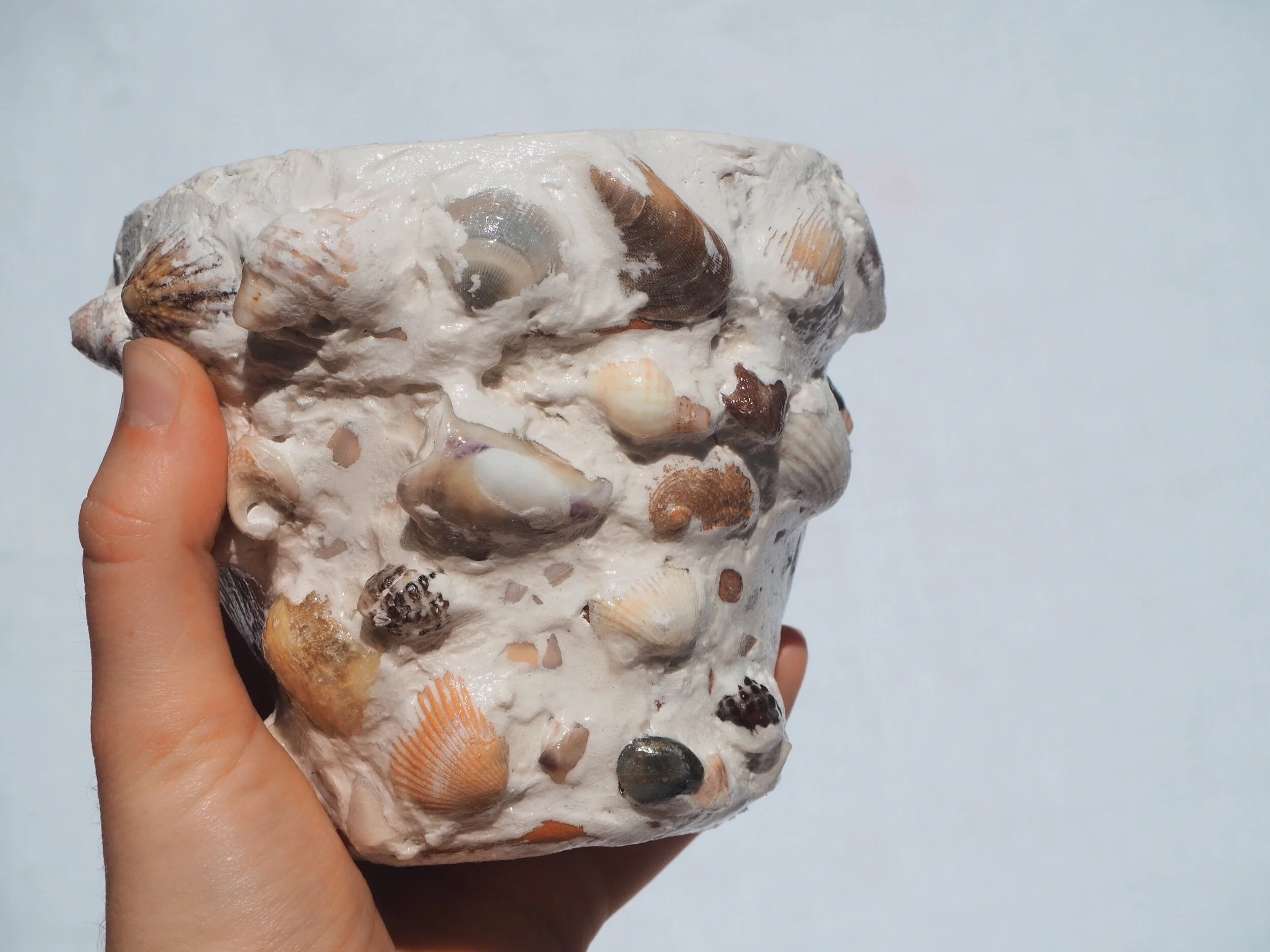 97561E15-5CFF-47D0-9A31-D1D231F84A12