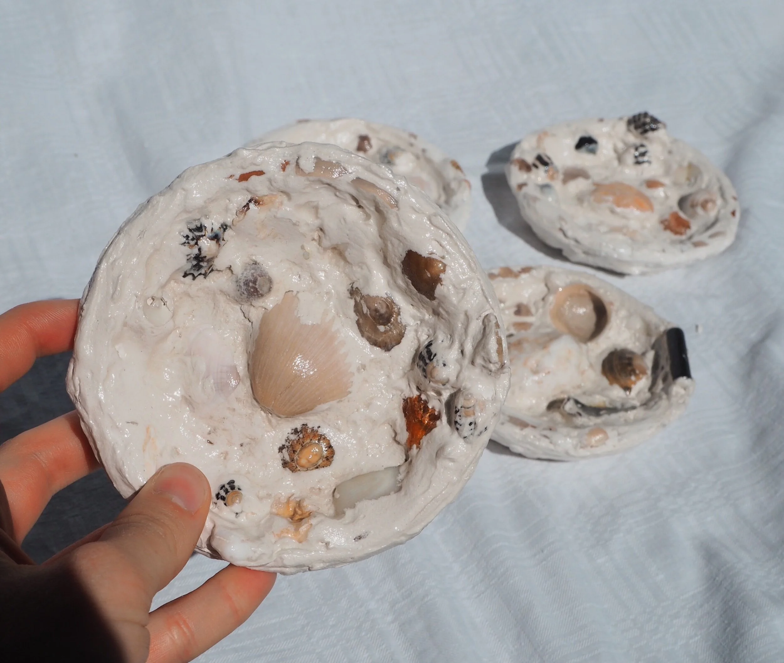 92A8267D-7800-467B-AFC4-A871D9CCE125