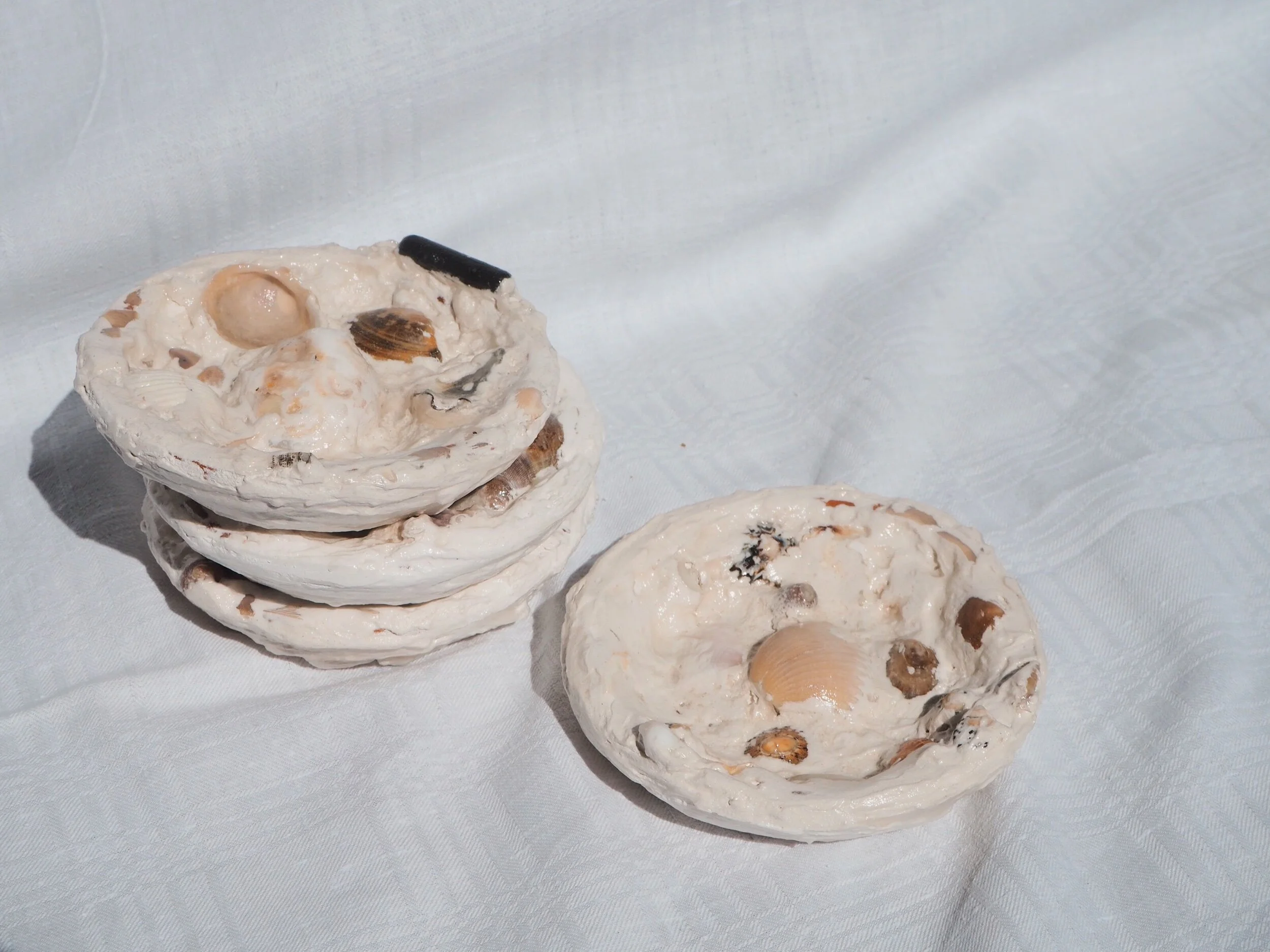 E1556688-46F6-46CF-A13A-C5DFFD6D7F19