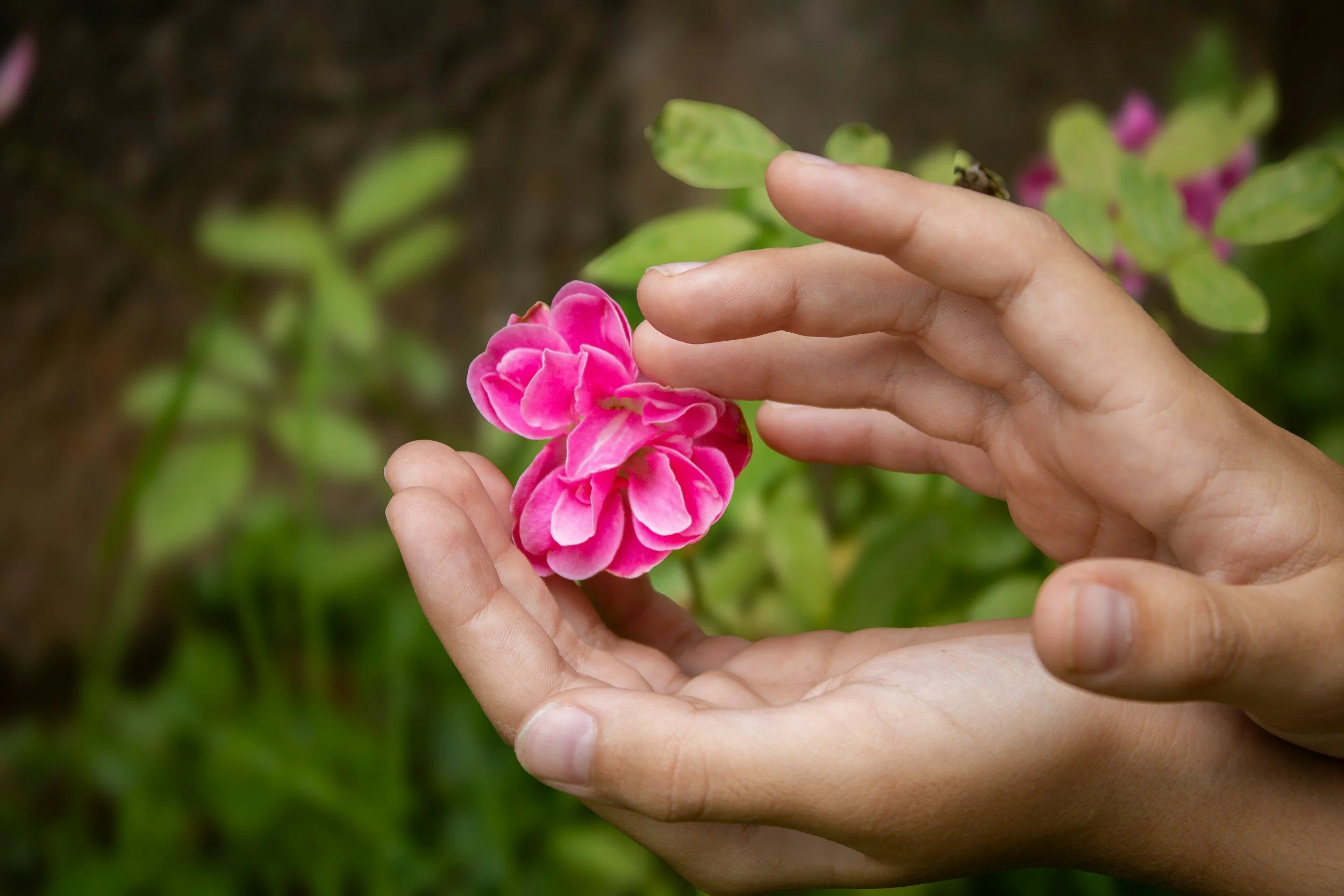Giving and Receiving Compassion guided audio