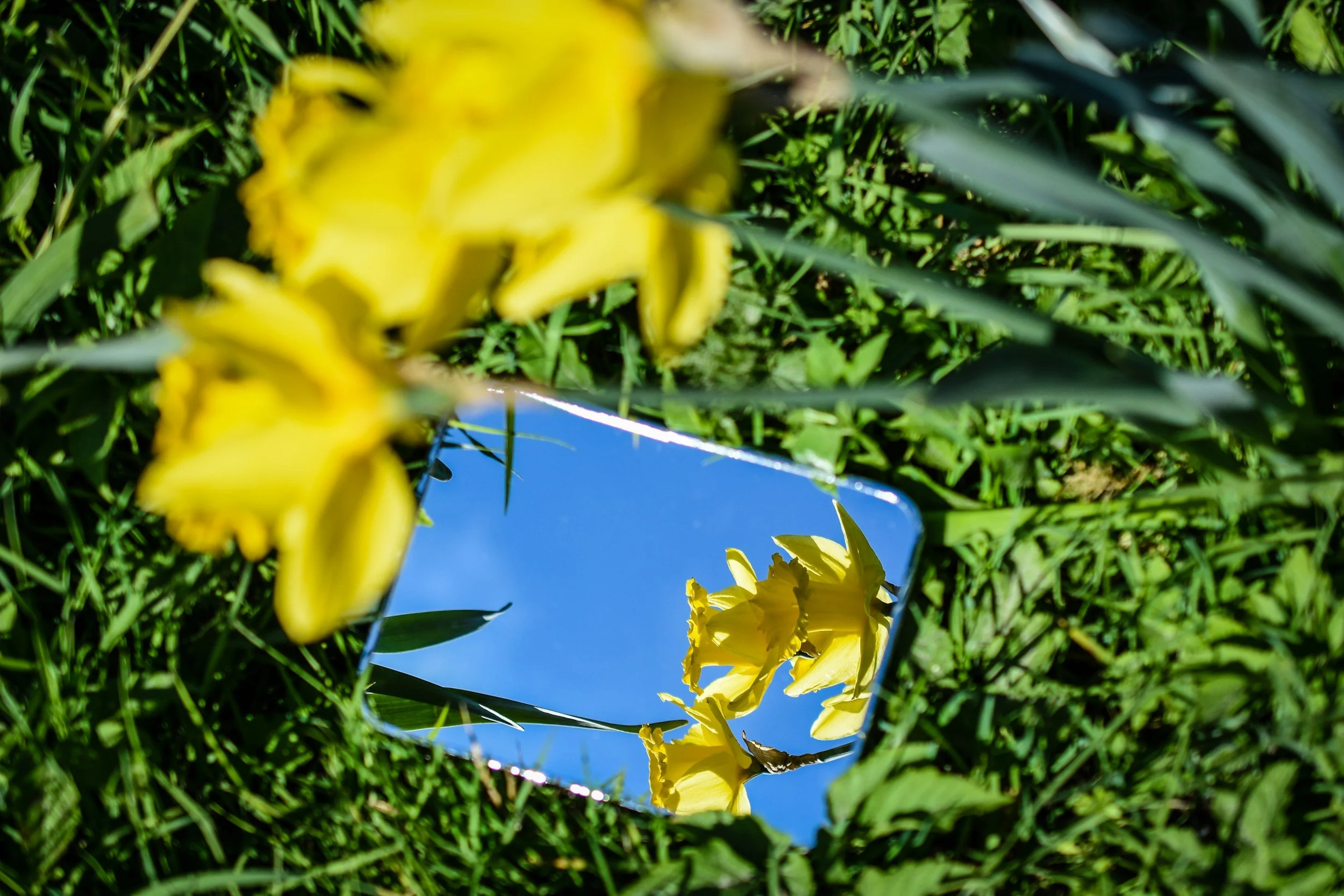 Want your virtual meetings to feel easier? Turn off your self-view