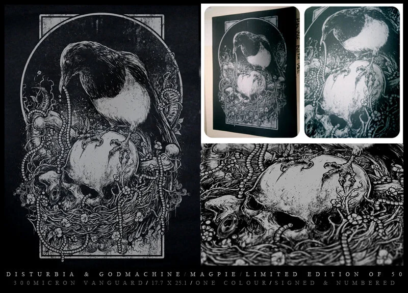 DISTURBIA // MAGPIE // 2011