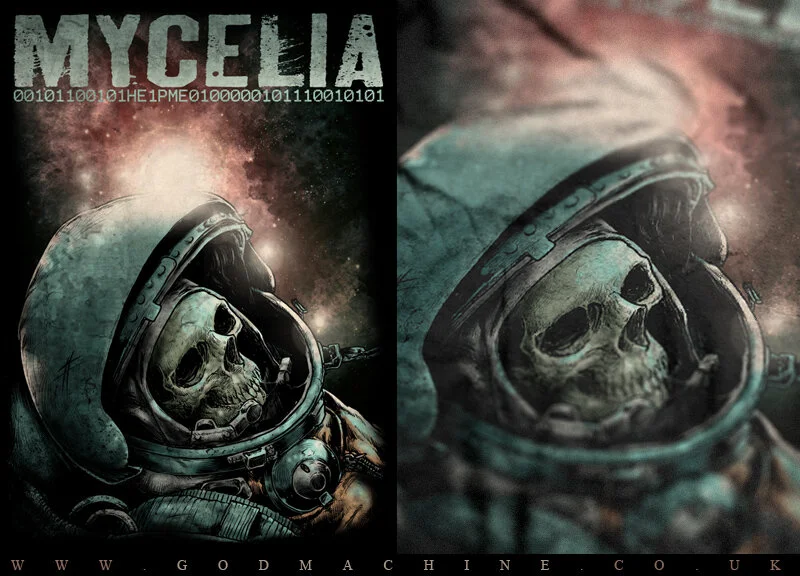 MYCELIA // BAND // 2012
