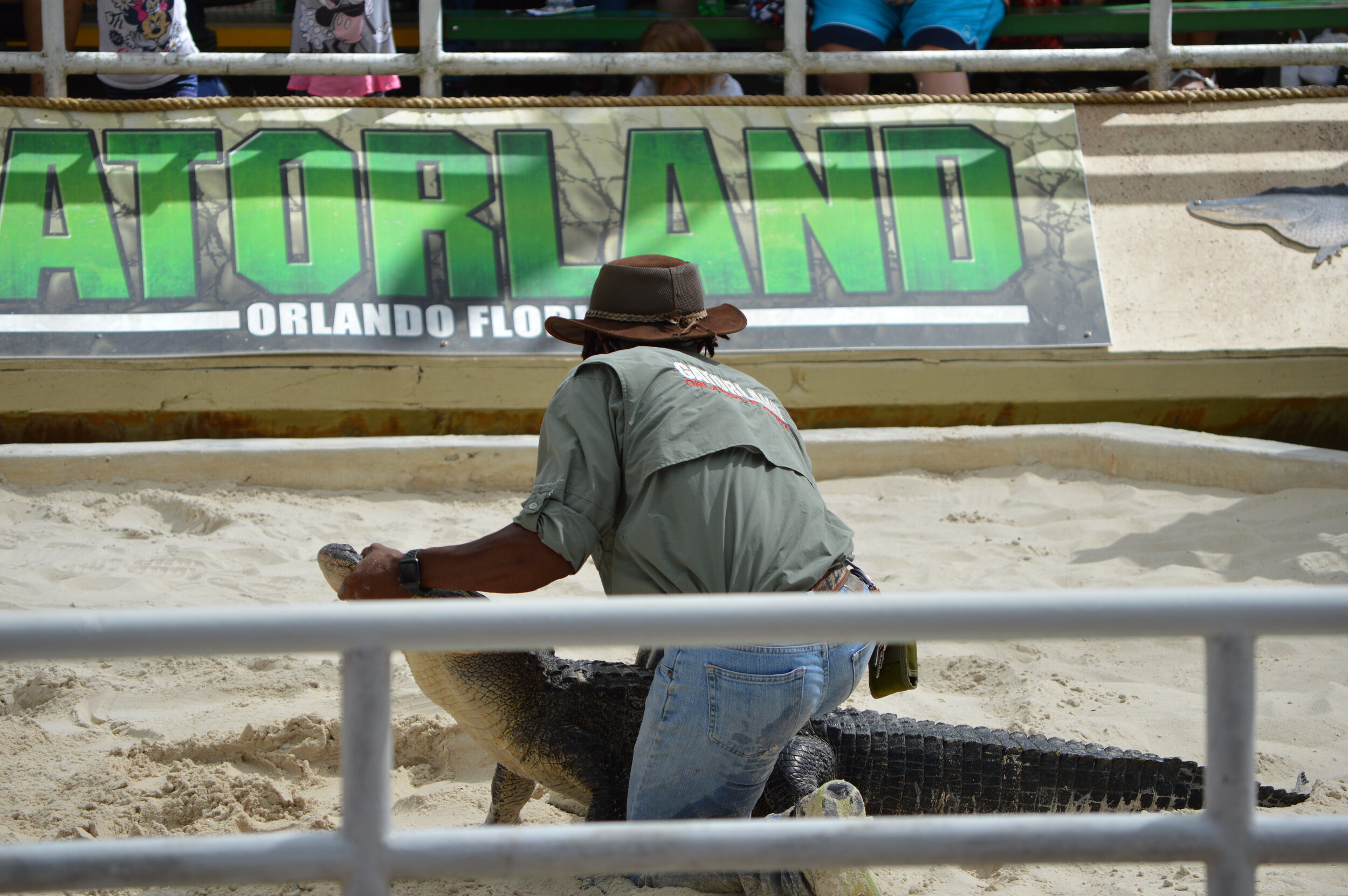 Gatorland 10.14 (240).JPG