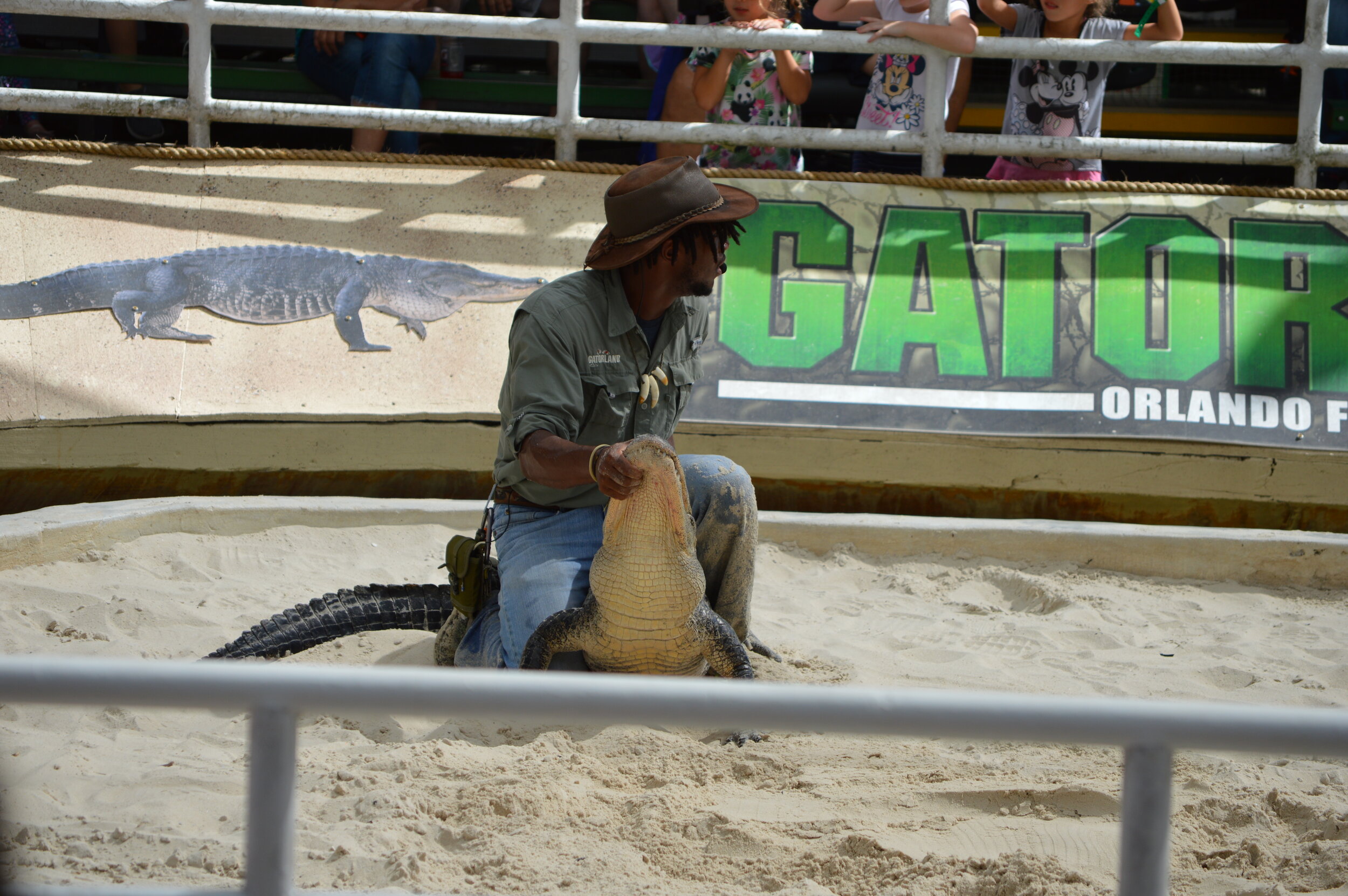 Gatorland 10.14 (242).JPG