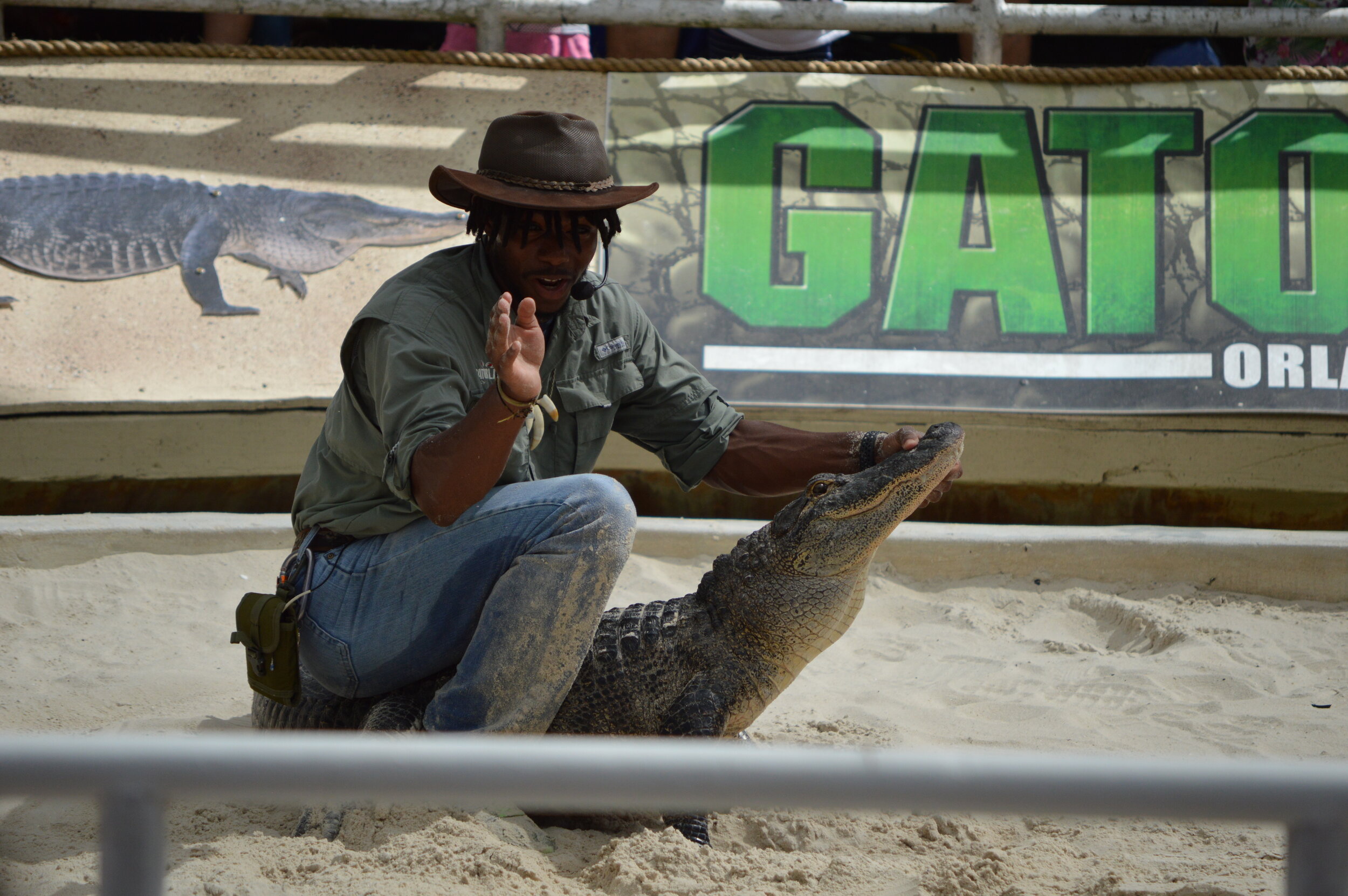 Gatorland 10.14 (256).JPG