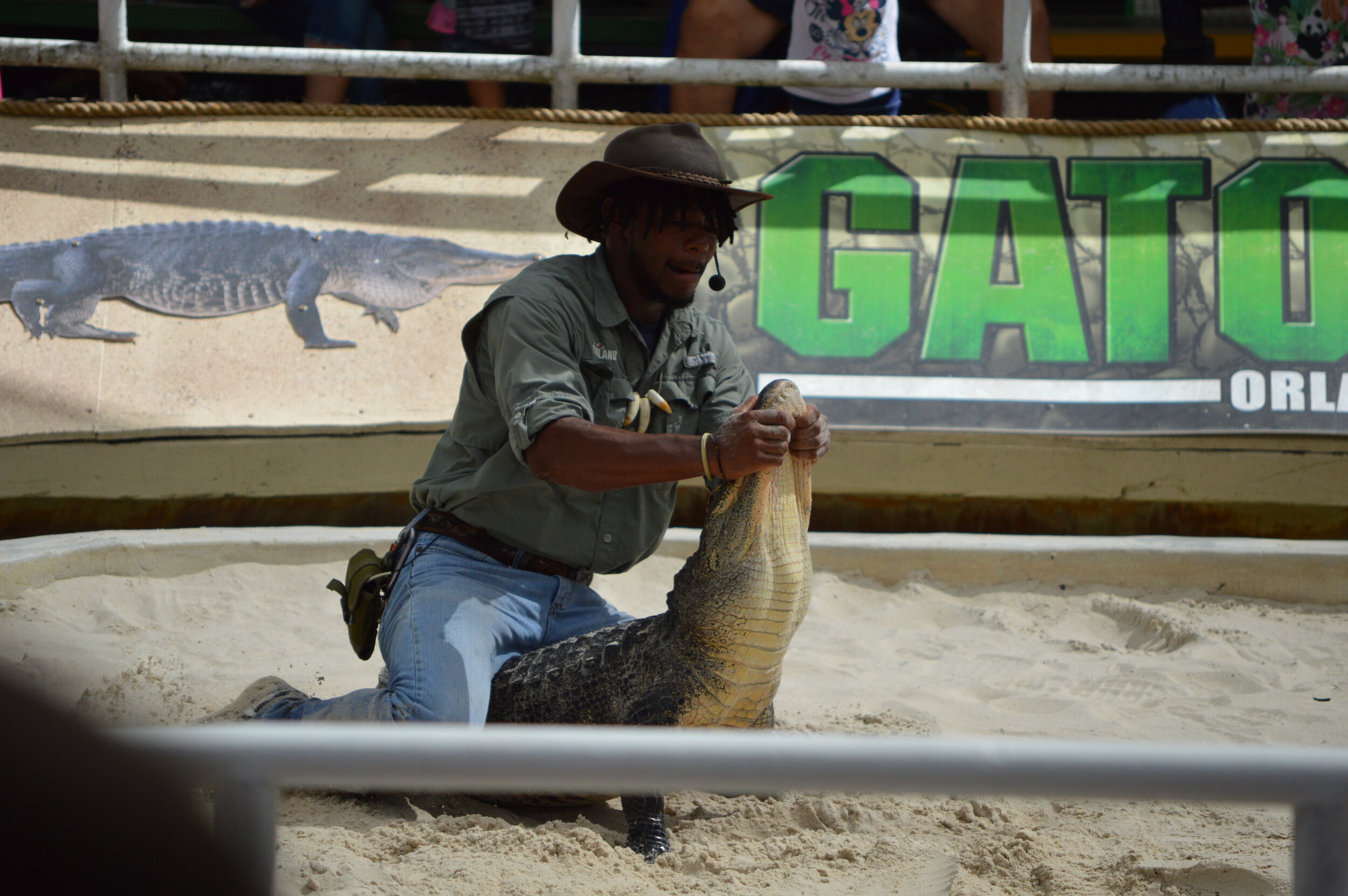 Gatorland 10.14 (257).JPG