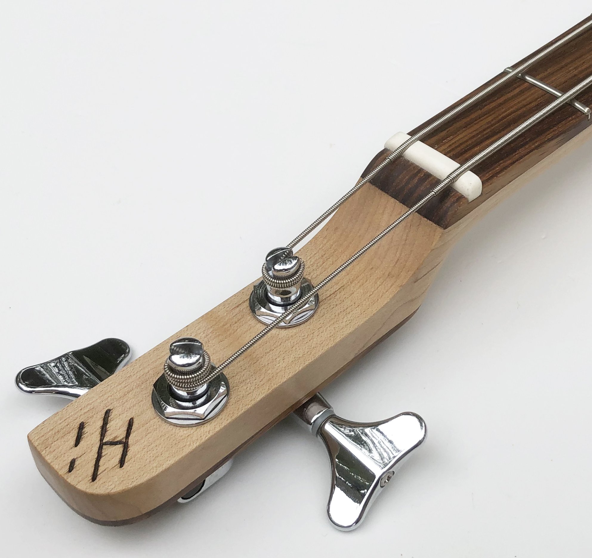 2 String Bass 1g.JPG