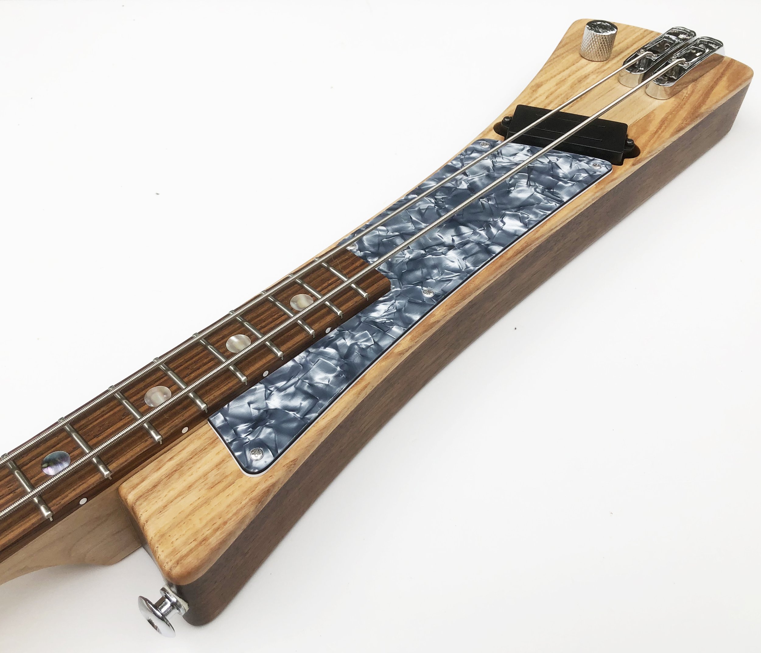 2 String Bass 1i.JPG