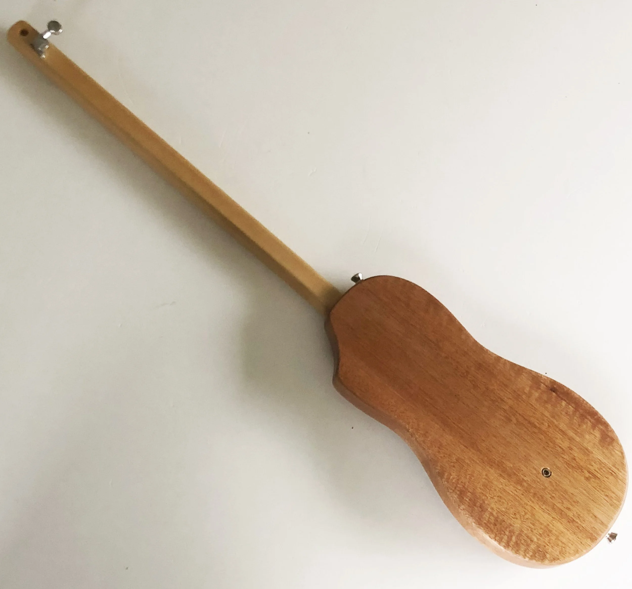 Diddley Bowtar 1f.JPG