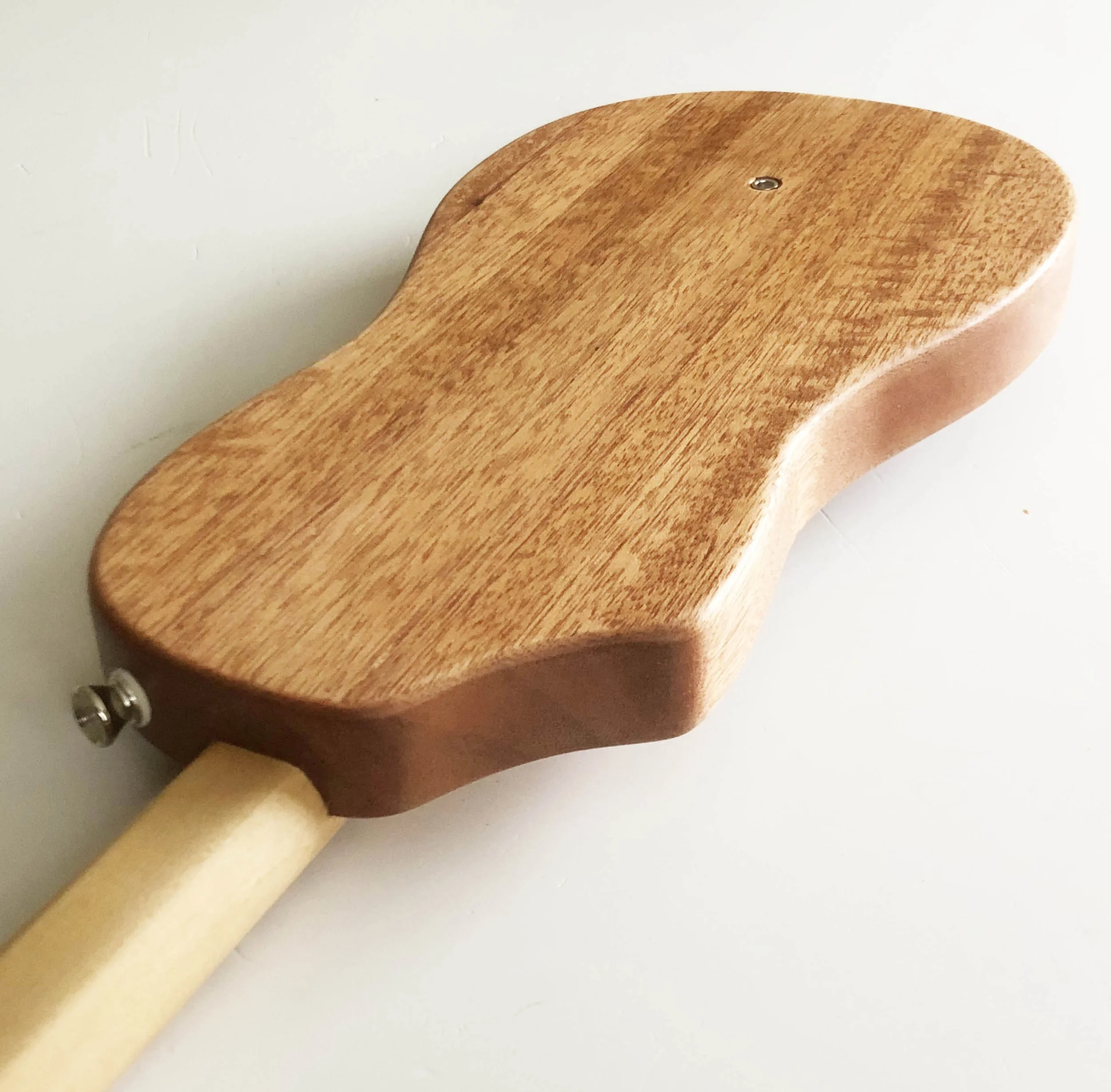 Diddley Bowtar 1g.JPG