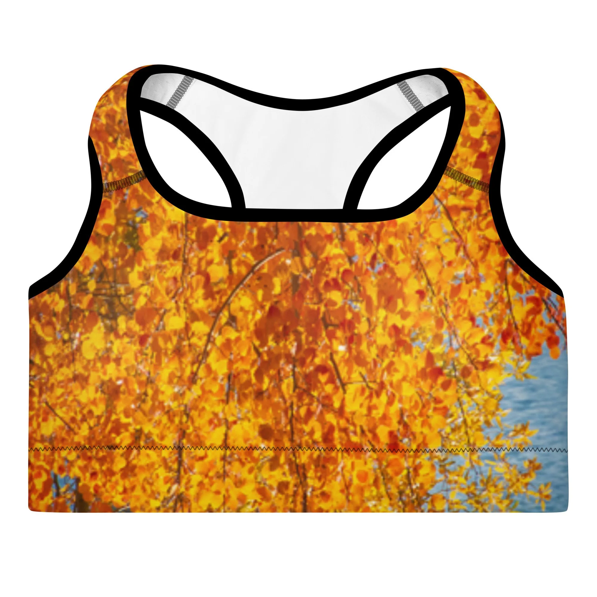 all-over-print-padded-sports-bra-black-front-6acc305203ae1.jpg