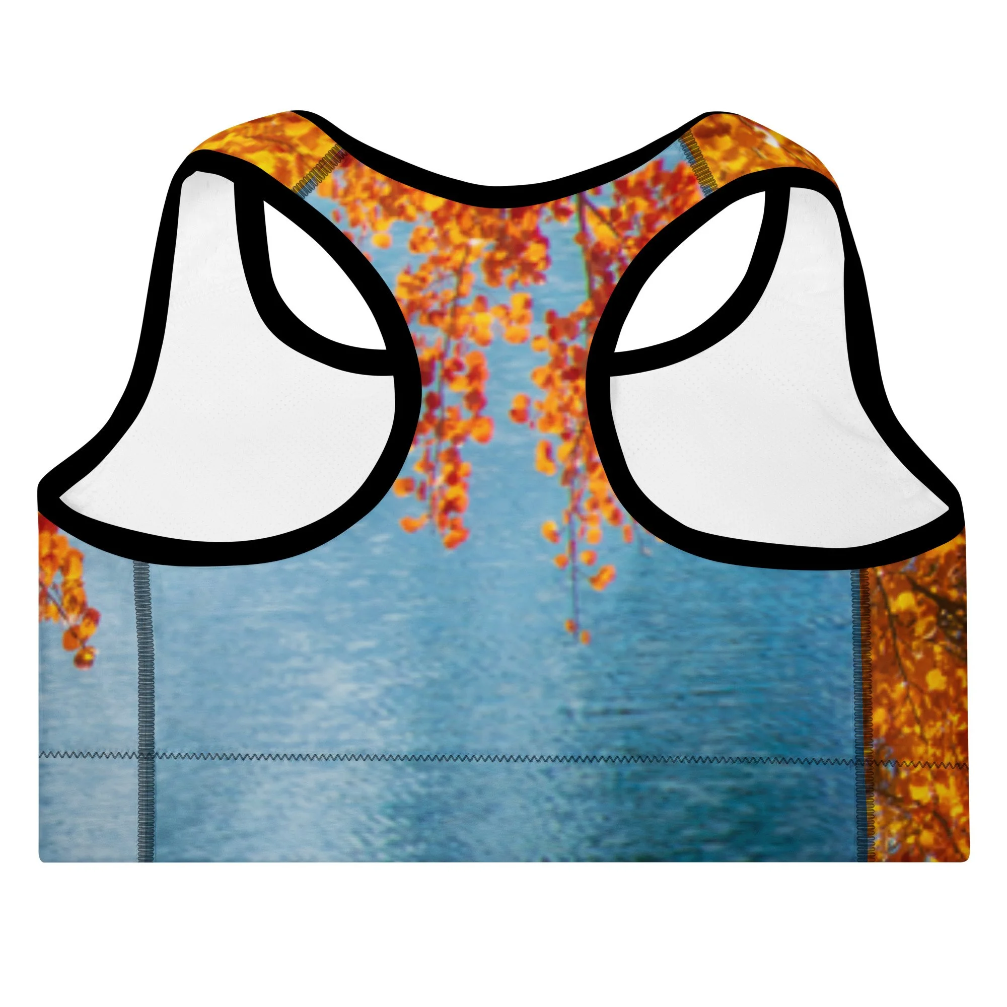 all-over-print-padded-sports-bra-black-back-6acc305204664.jpg