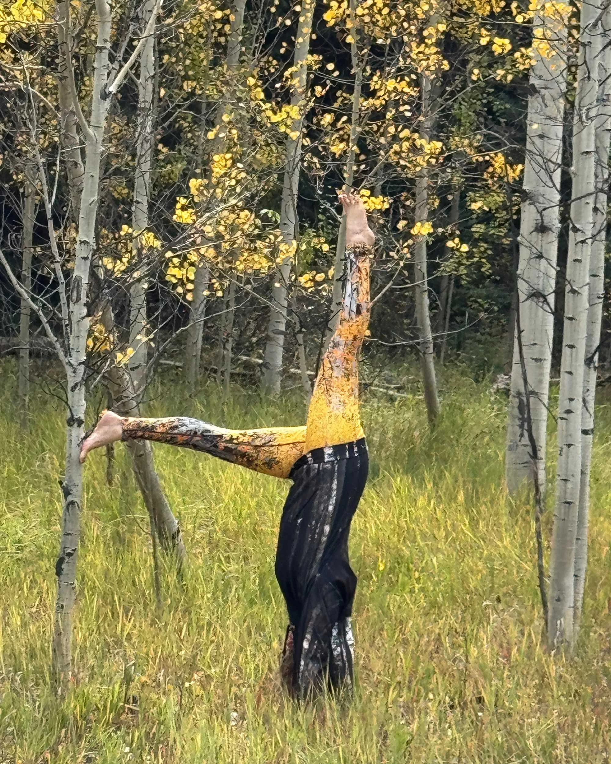 Anna_goldaspens_IMG_8698_web.jpg