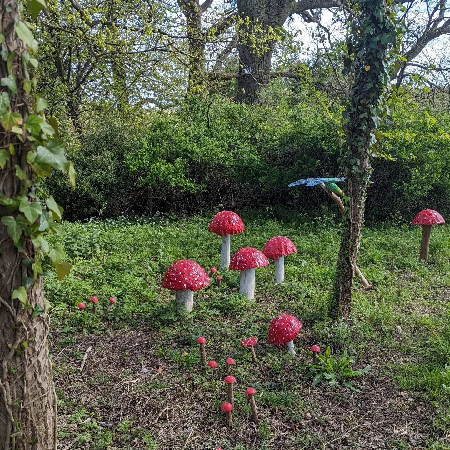 Remembering Bonnie today, one year on 🌈
Took a stroll along one of her favourite routes. She would have LOVED seeing the lambs in the fields &amp; investigating this cute little corner for interesting smells 🍄
Going to light a fire in her honour la