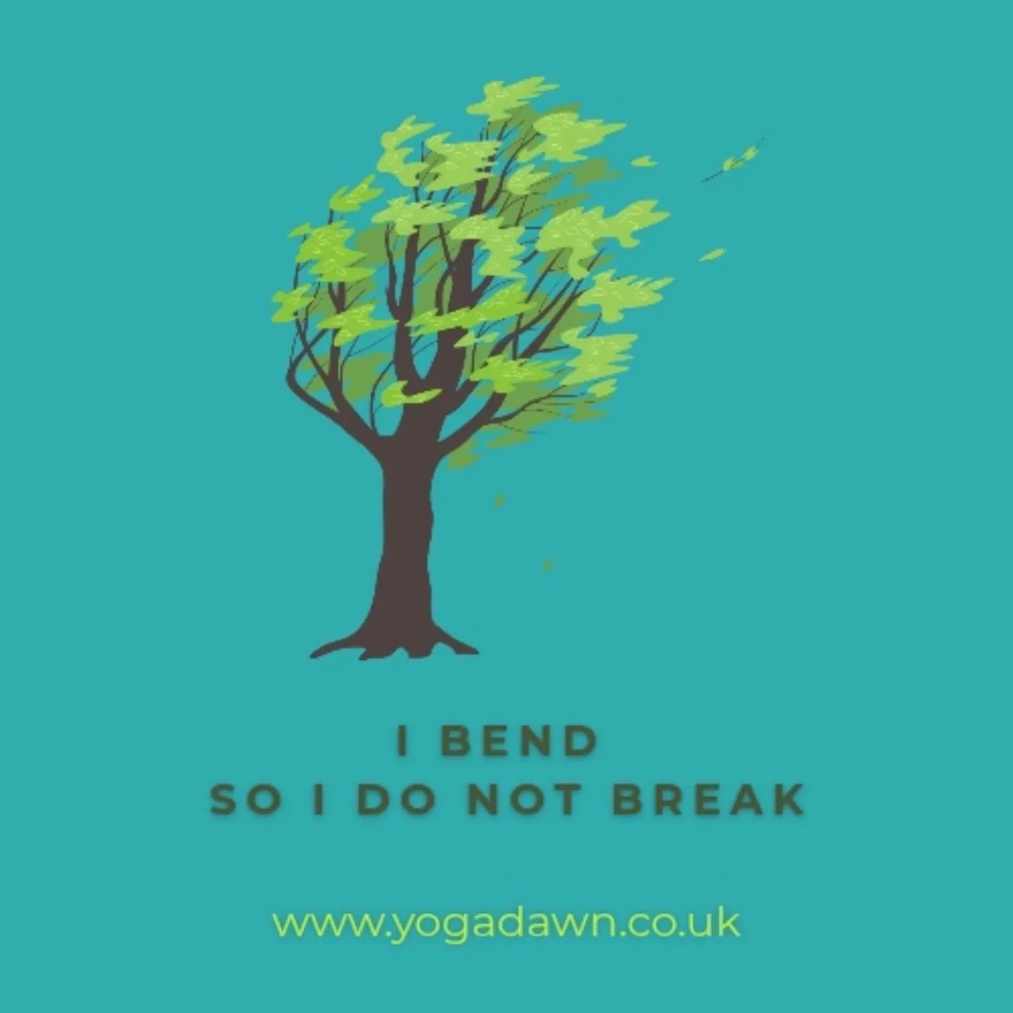 I've weathered the storm &amp; come out the other side. 

A nasty bout of COVID now over, I'm so glad to be back in the swing of things &amp; back to classes with you all 💚

Wishing you health &amp; happiness. Get in touch to join now.

#yogalife #h