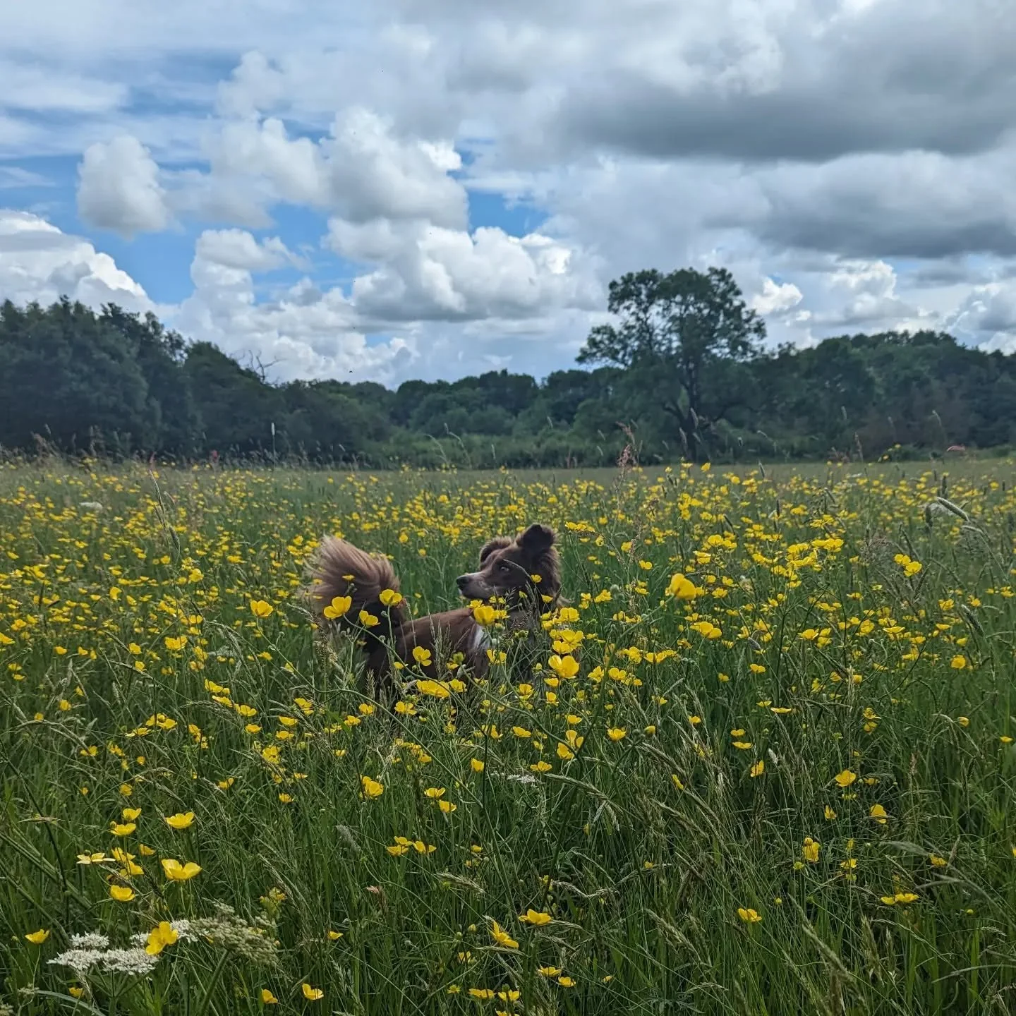 We're taking a mini break today! No baby classes, but ante-natal is online tonight. Great chance to grab a class AND REPLAY to enjoy over &amp; over again at no extra cost. 
Anyone welcome from 14 weeks to delivery. No previous experience of yoga is 