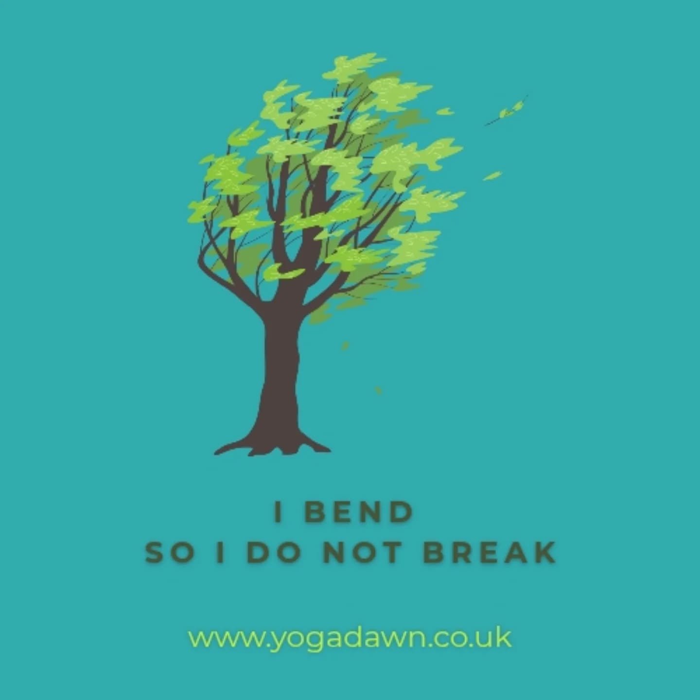 I've weathered the storm &amp; come out the other side. 

A nasty bout of COVID now over, I'm so glad to be back in the swing of things &amp; back to classes with you all 💚

Wishing you health &amp; happiness. Get in touch to join now.

#yogalife #h