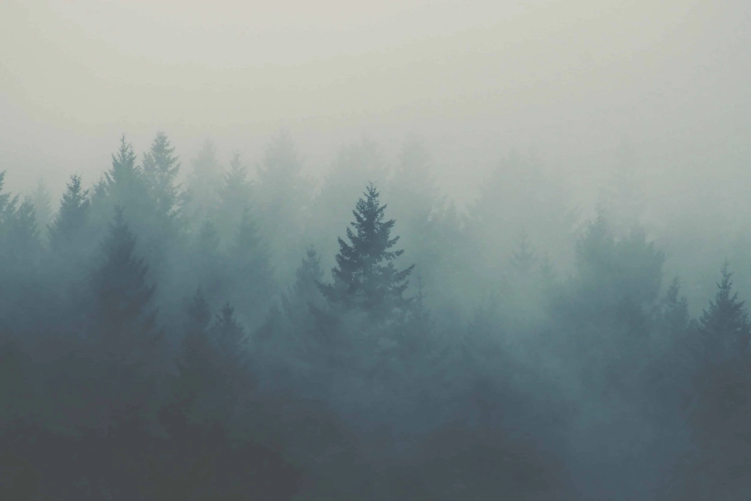 eric-muhr-Fs-bcmsV-hA-unsplash_WEB.jpg