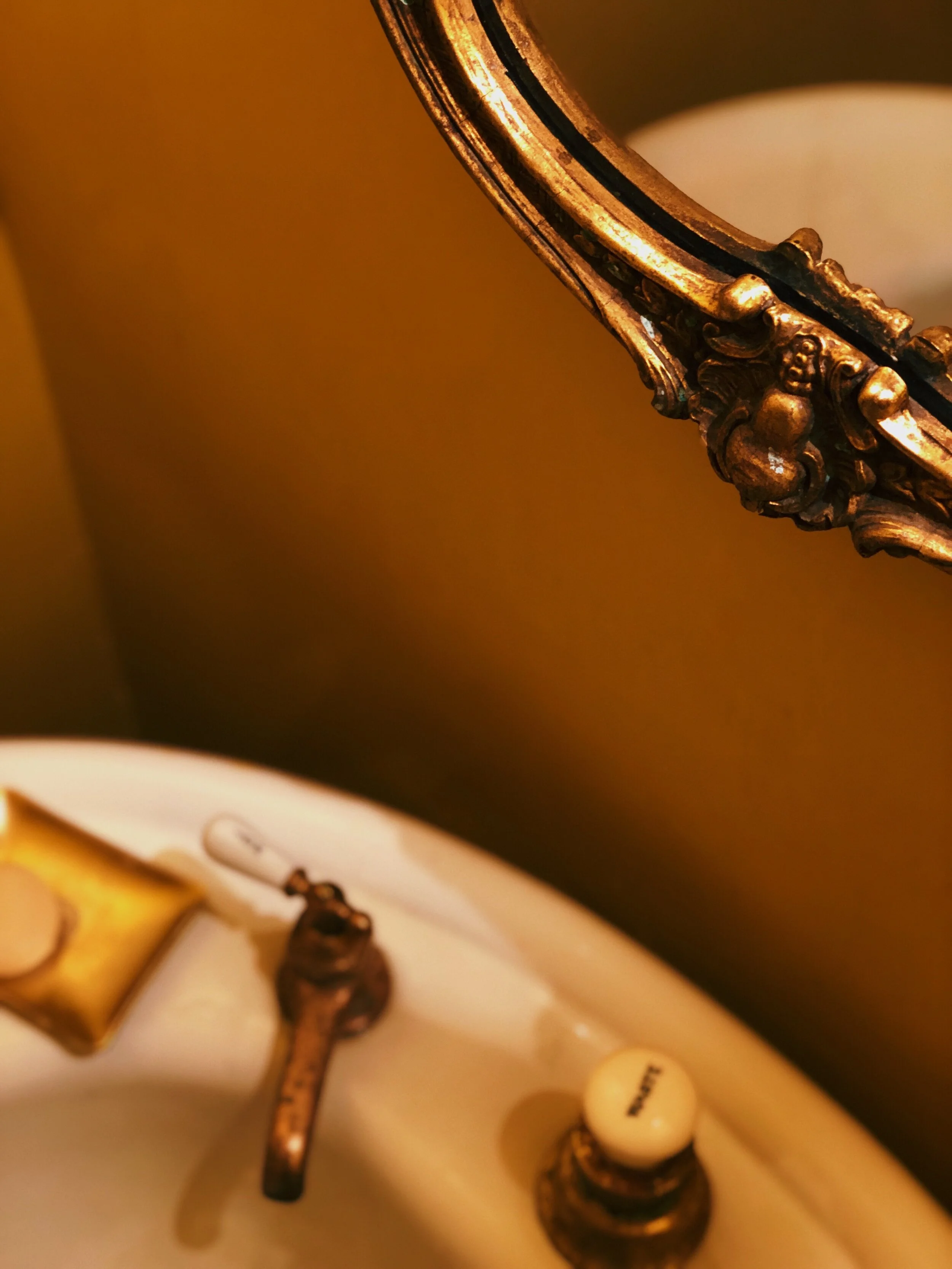 D0A3D863-CA1C-40A8-B433-03CB9C31BDC6.jpg