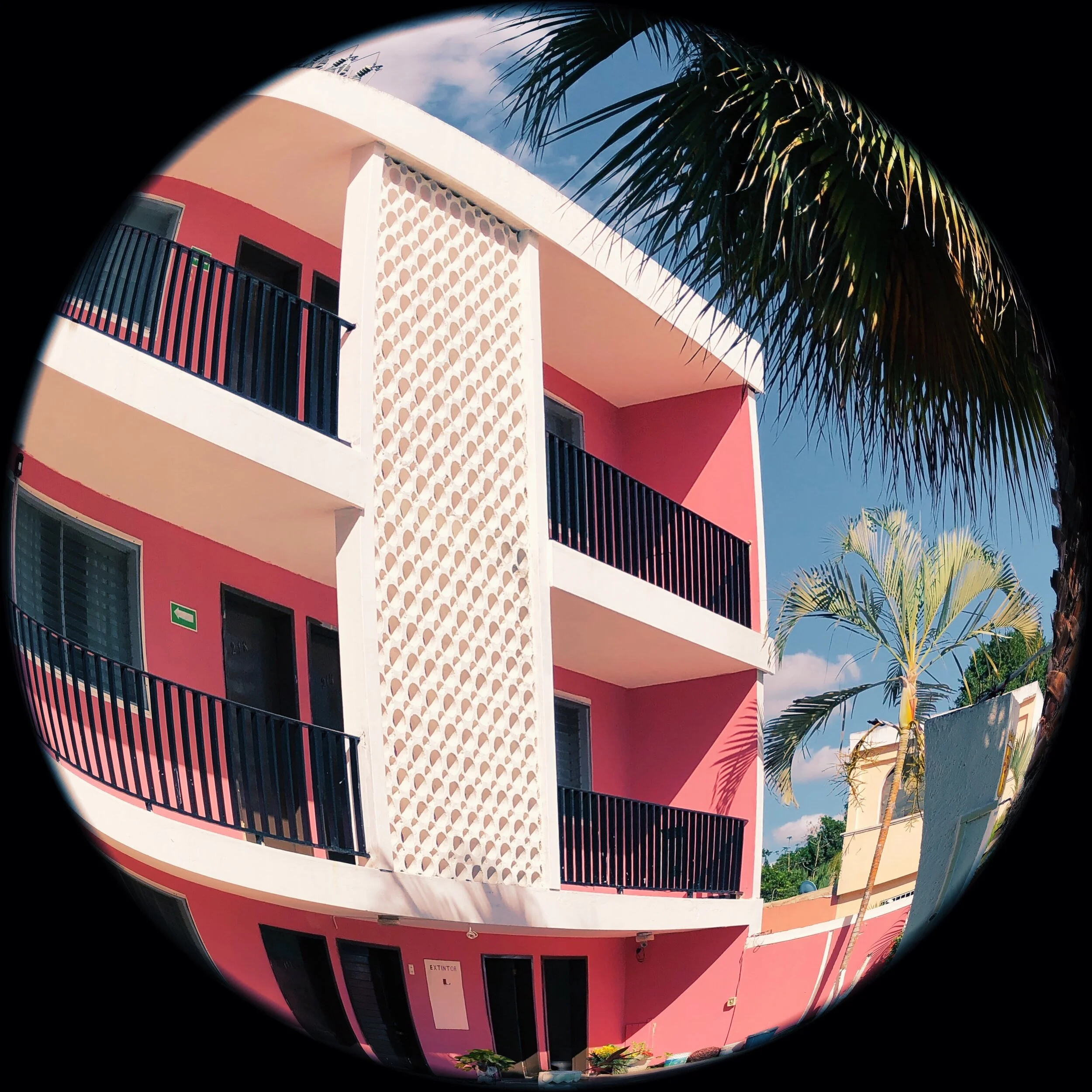 3D2940C6-9CE6-46AE-999B-404C64A5837F.jpg