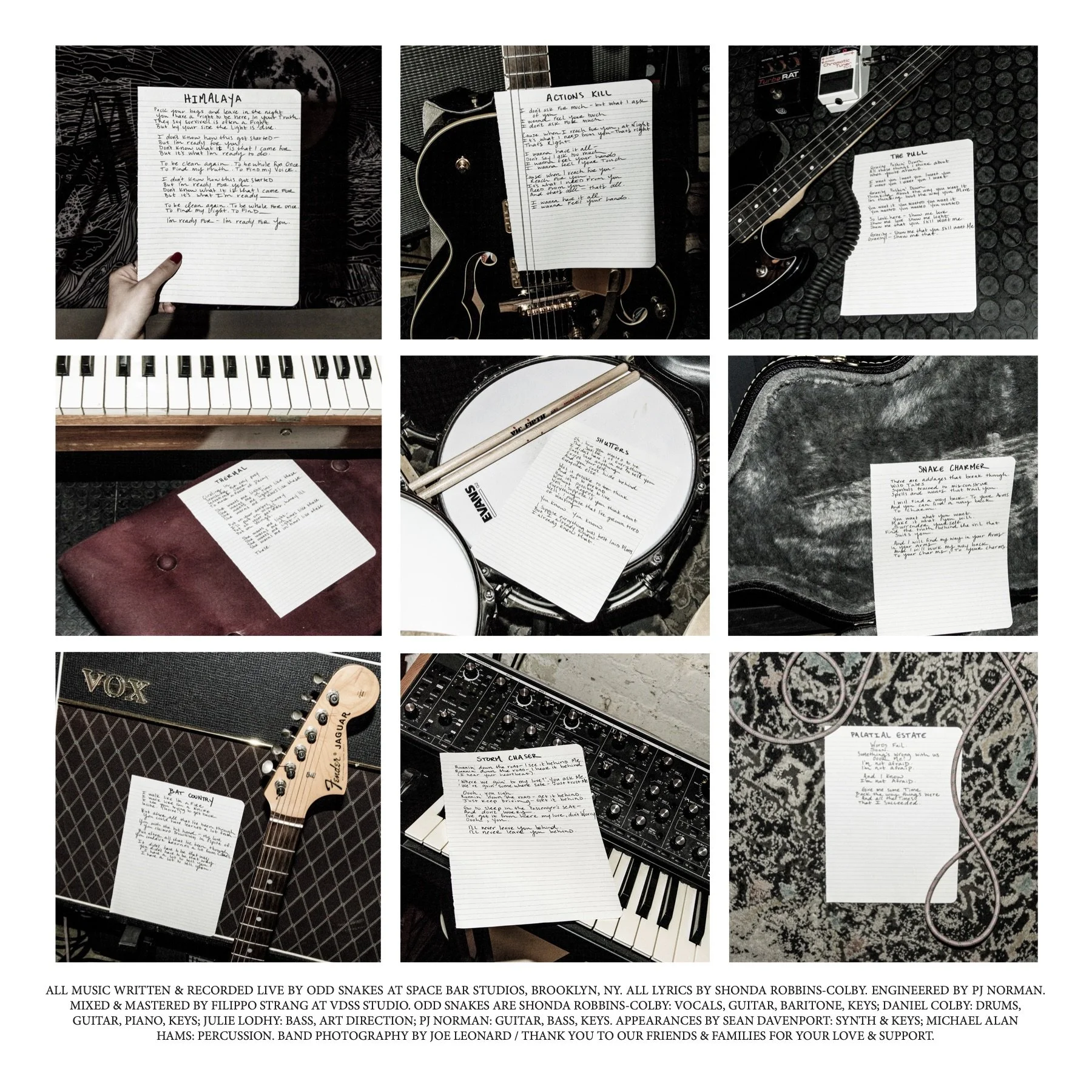 VINYLINSERTSIDE2 copy.jpg