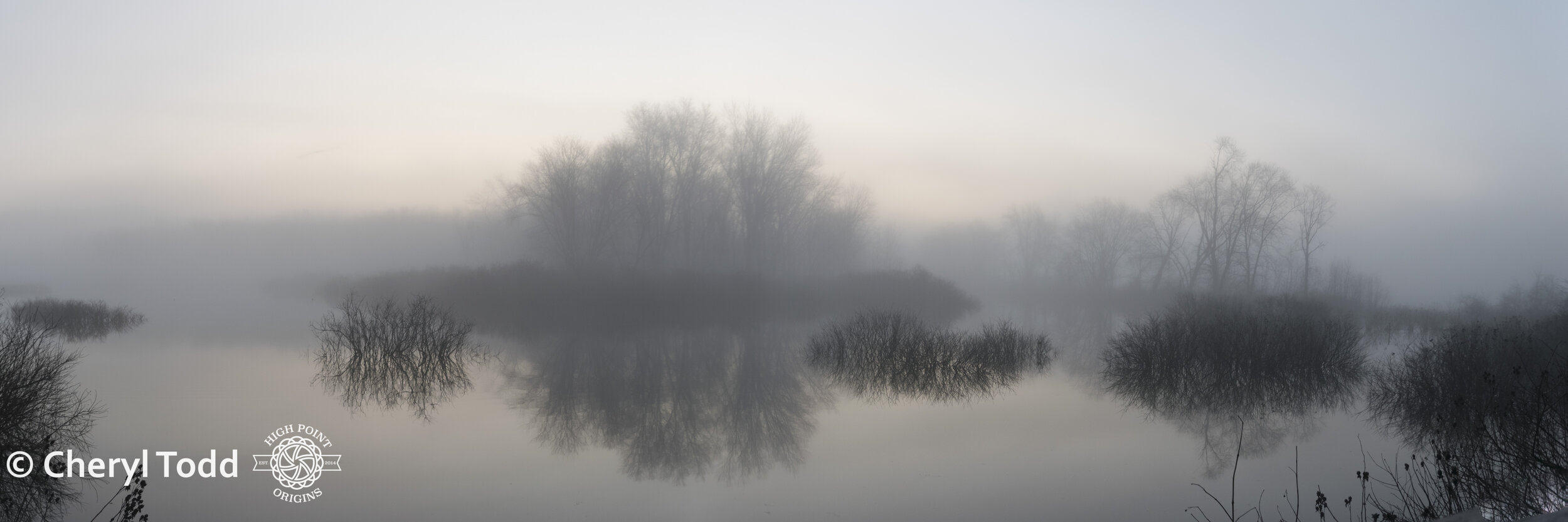 Foggy Sunrise at Kessler Swamp - 10x30 Panorama