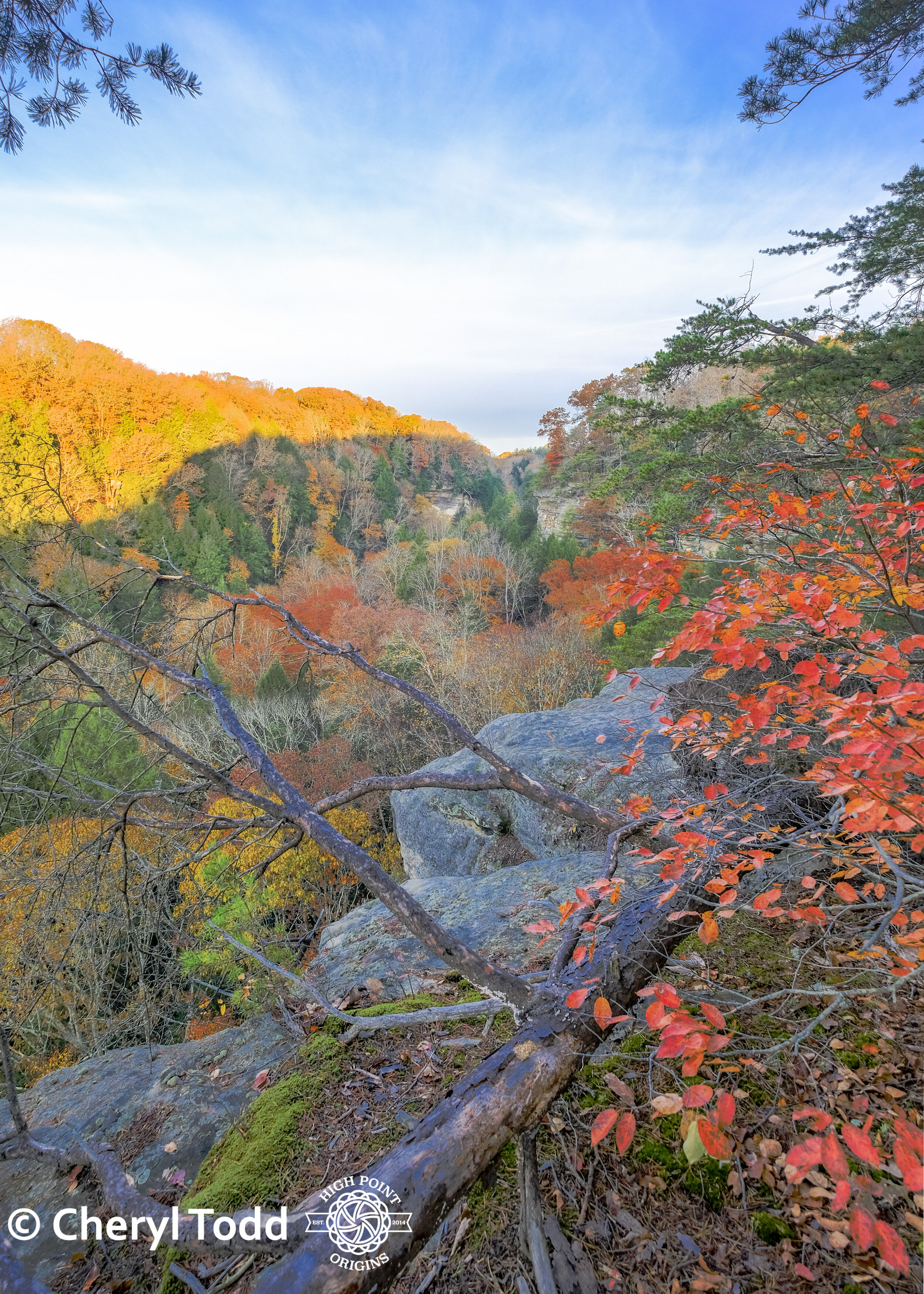 Shadow and Shine at Conkle’s Hollow