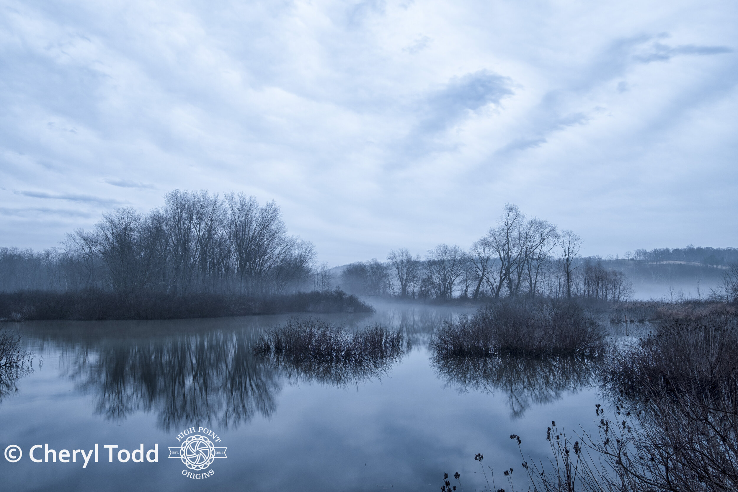 Blue Hour at Kessler Swamp State Nature Preserve