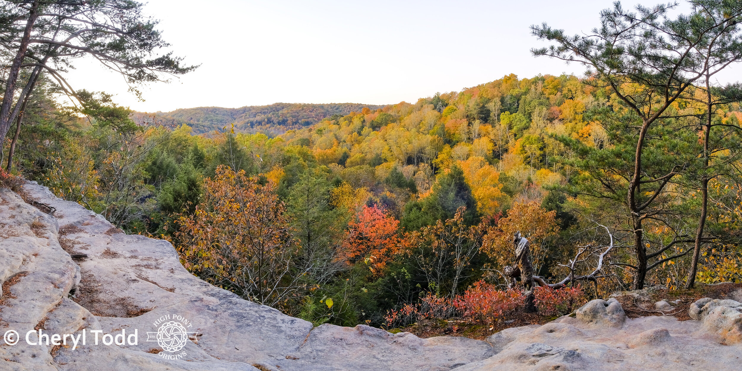 Conkle's Hollow Autumn Vista - 12x24 Panorama