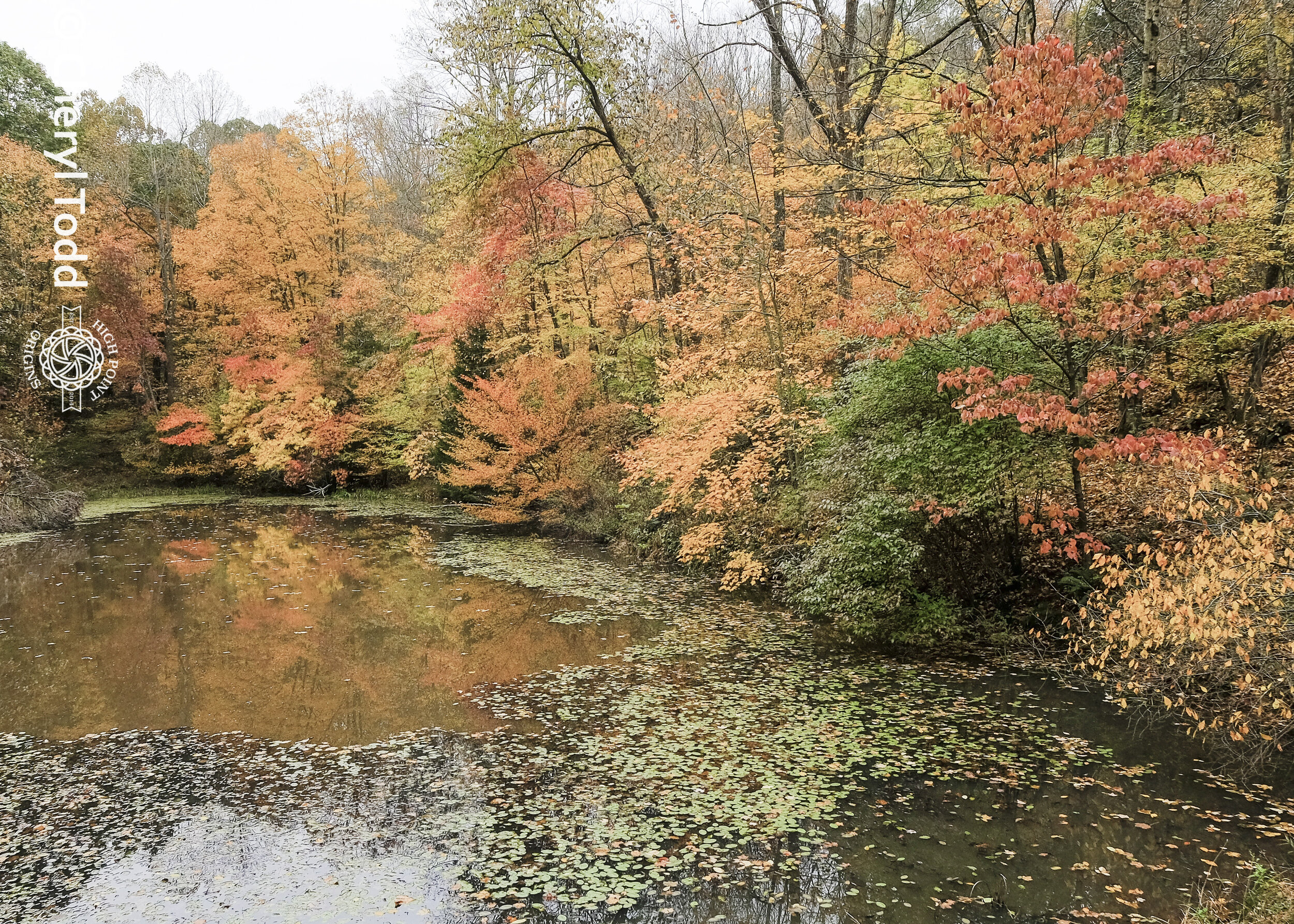 Autumn Reflection at Boch Hollow