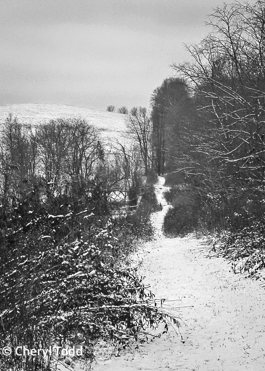 Approach to Rockbridge State Nature Preserve