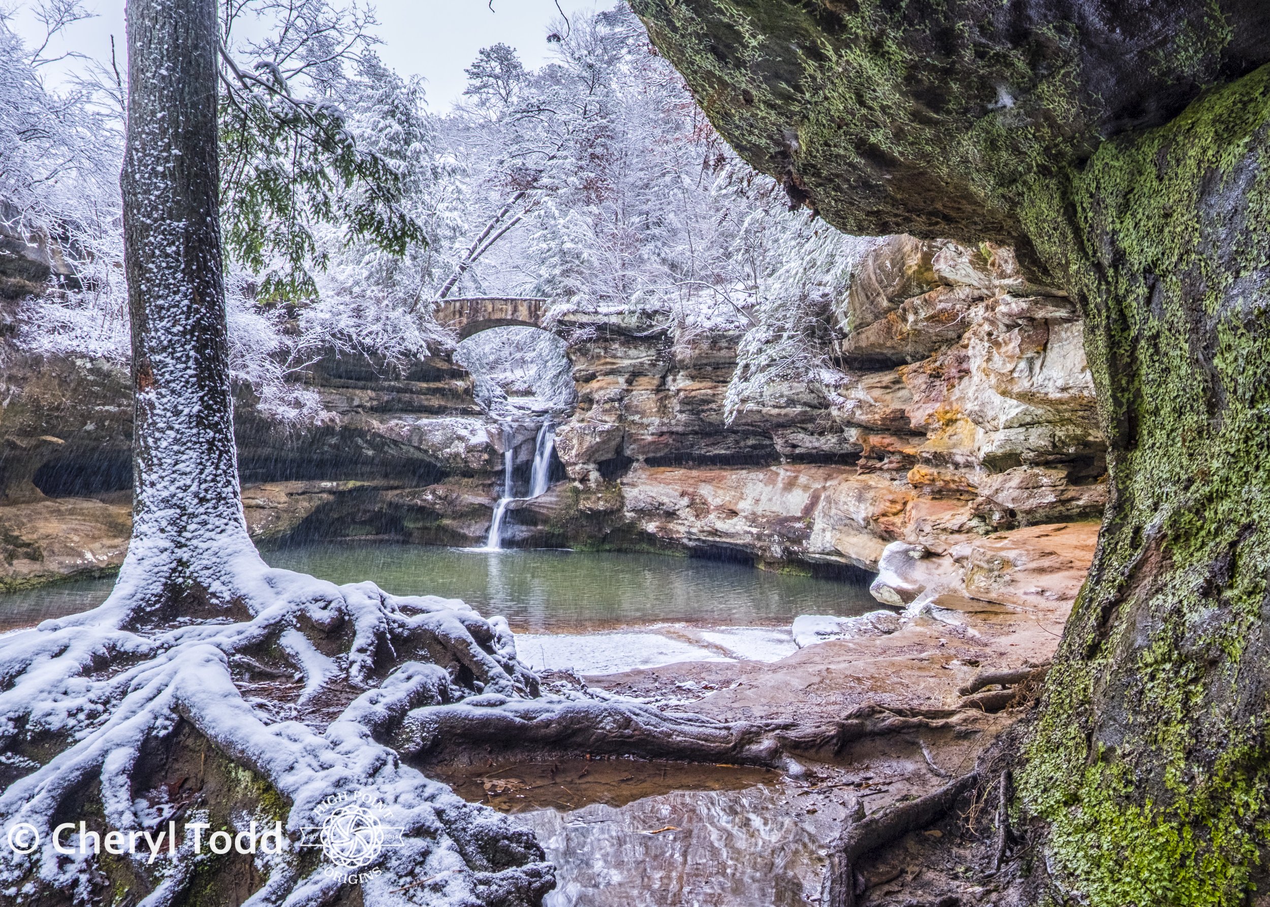 Upper Falls framed by Tree