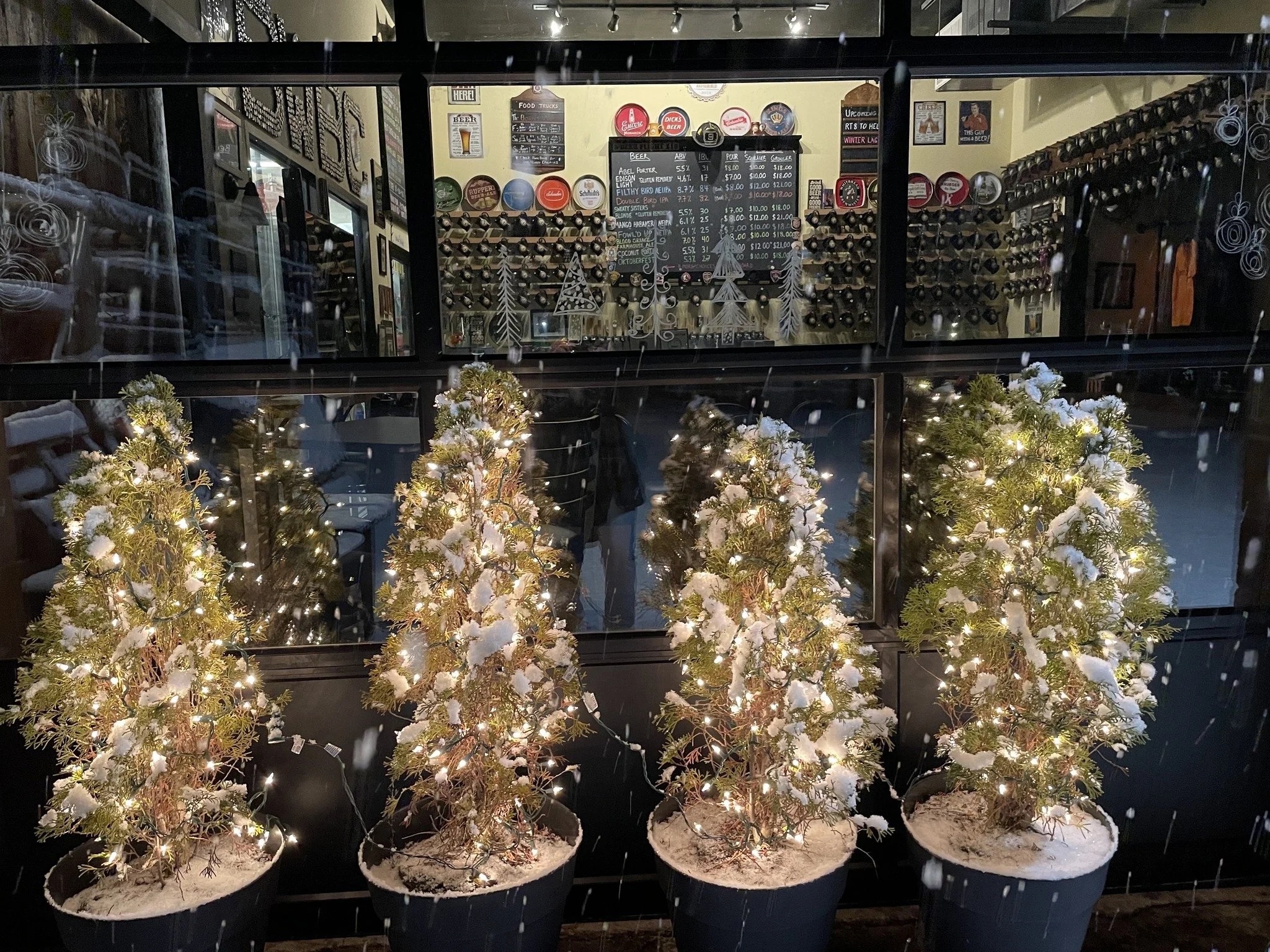 winter lights.jpg