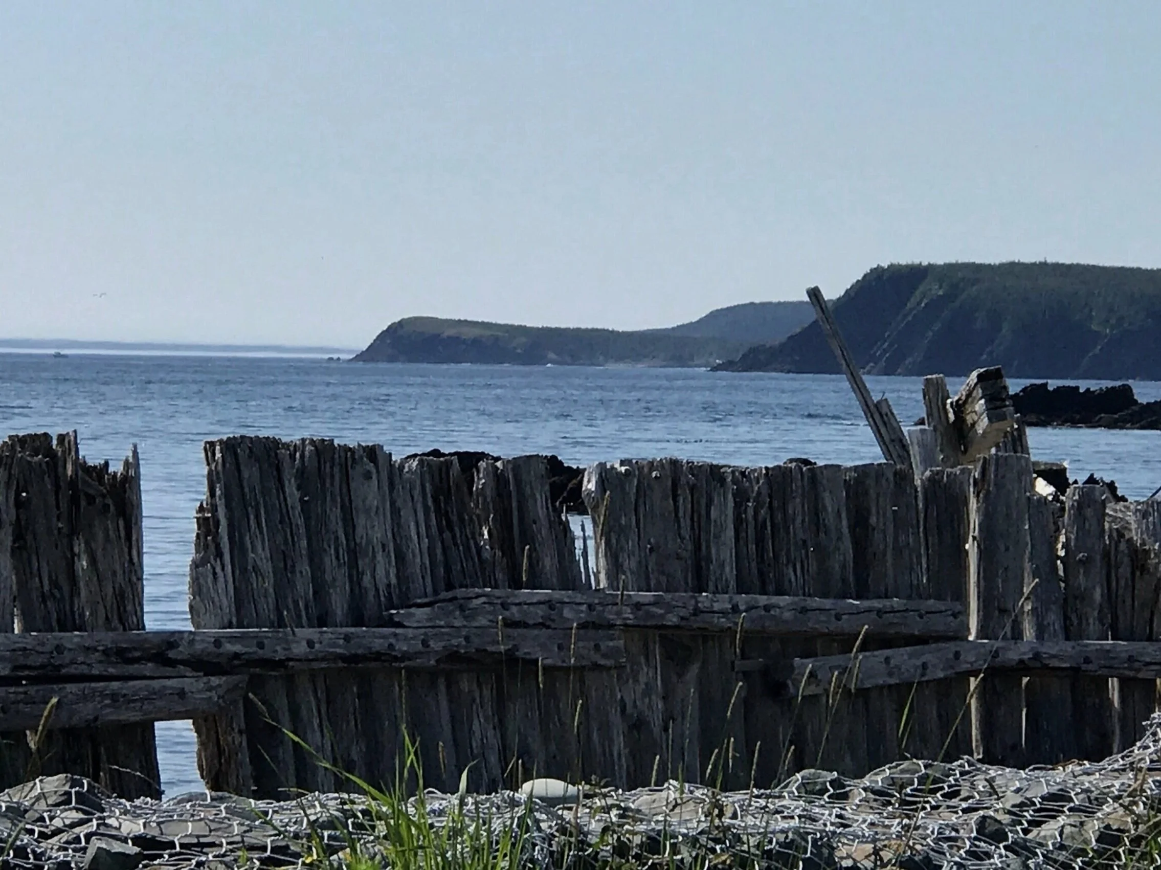 Ferryland-Newfoundland.jpg