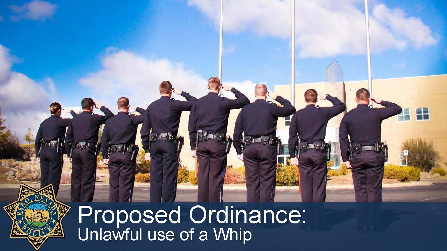 Whip Ordinance Powerpoint Small_Page_01.jpg