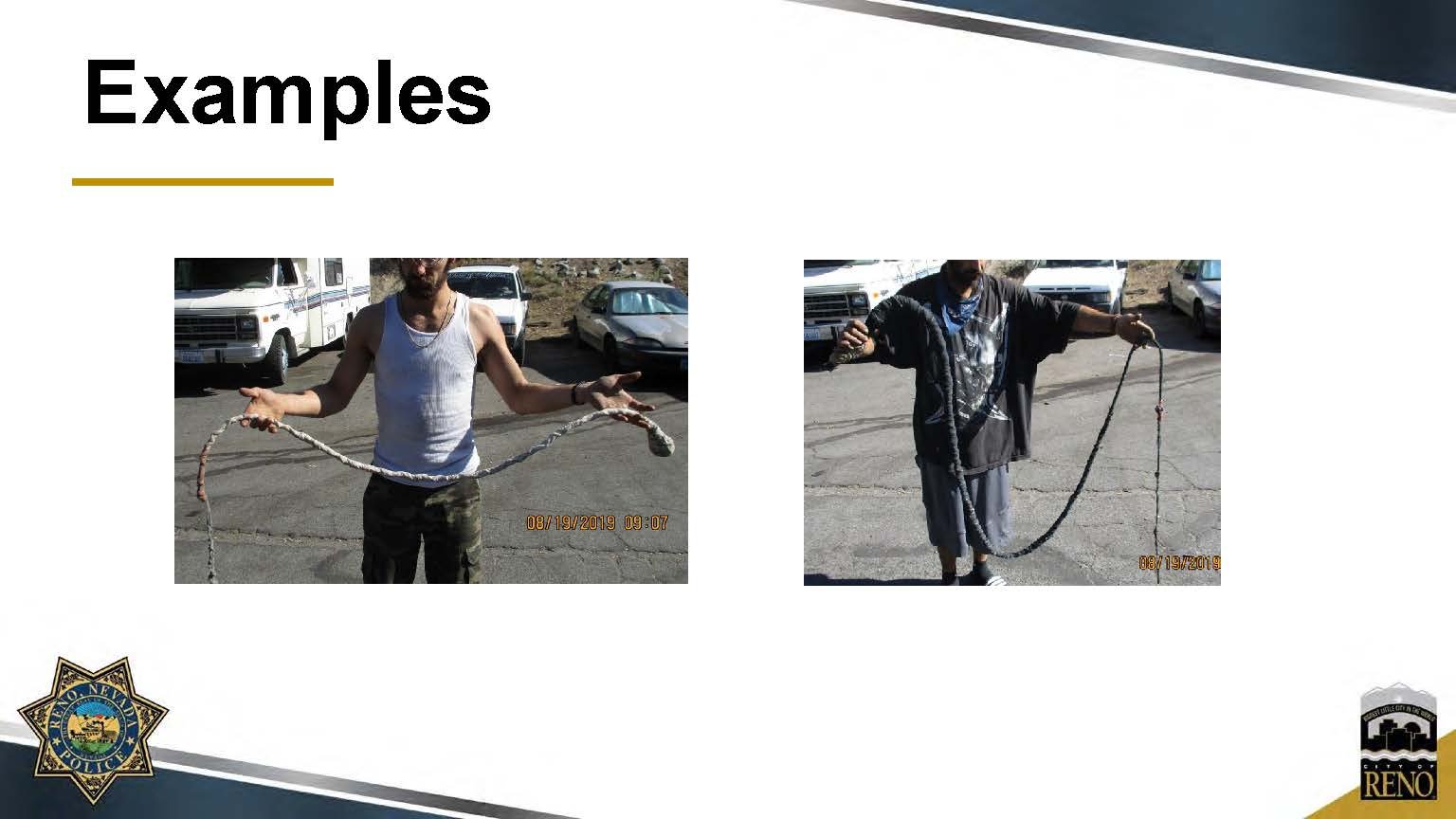 Whip Ordinance Powerpoint Small_Page_03.jpg