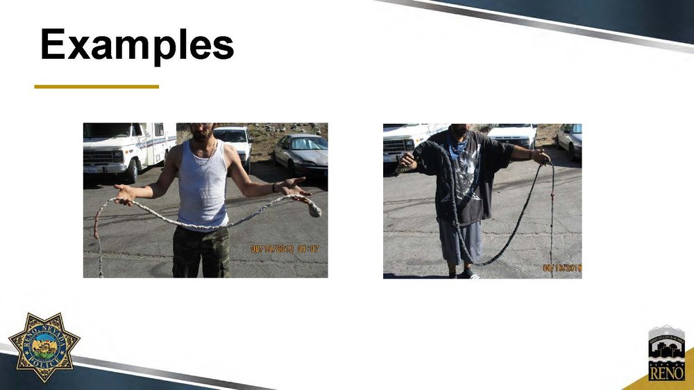 Whip Ordinance Powerpoint Small_Page_03.jpg