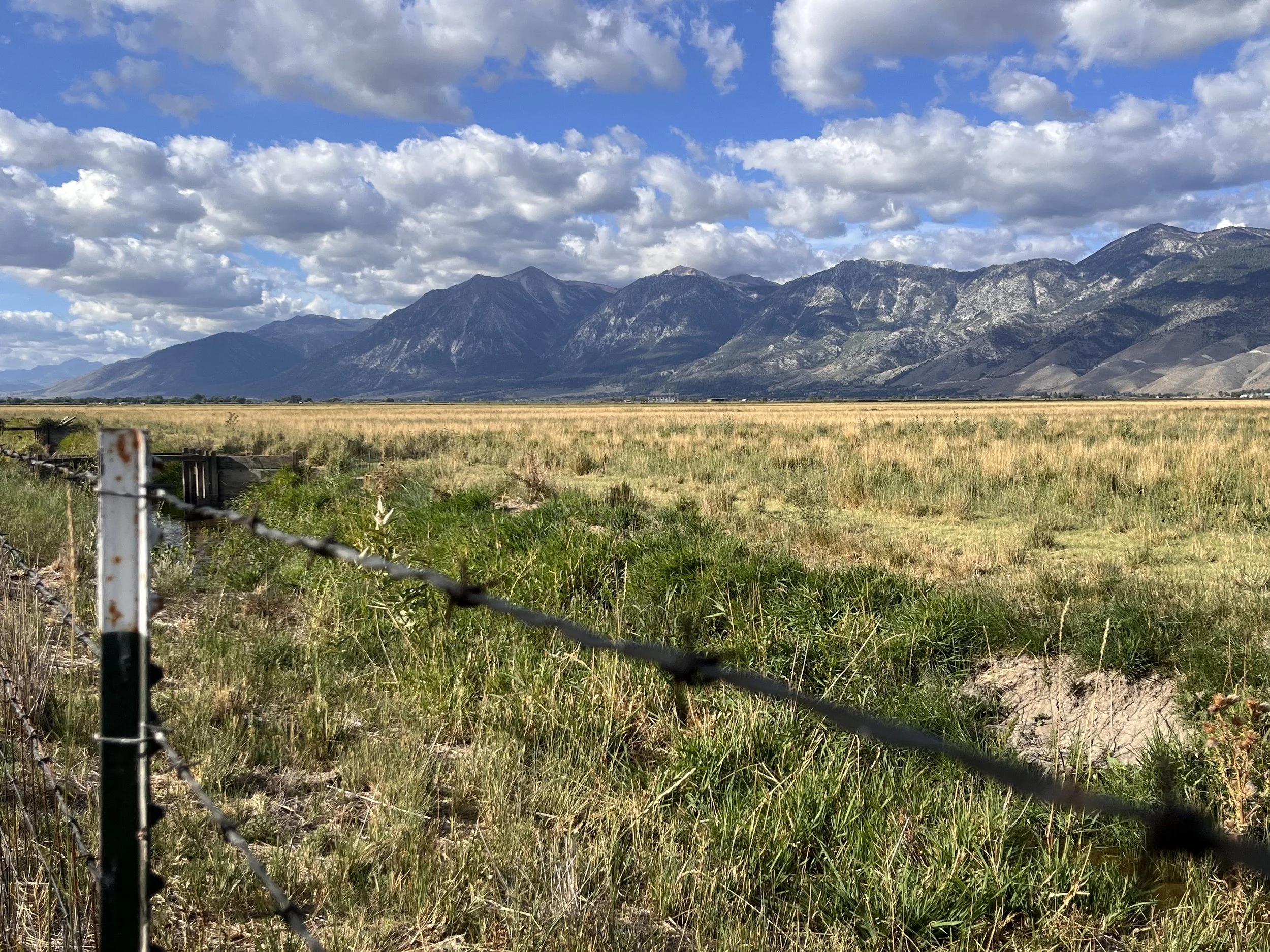Sierra Nevada Moutains near JT in Gardnerville Nevada.jpeg