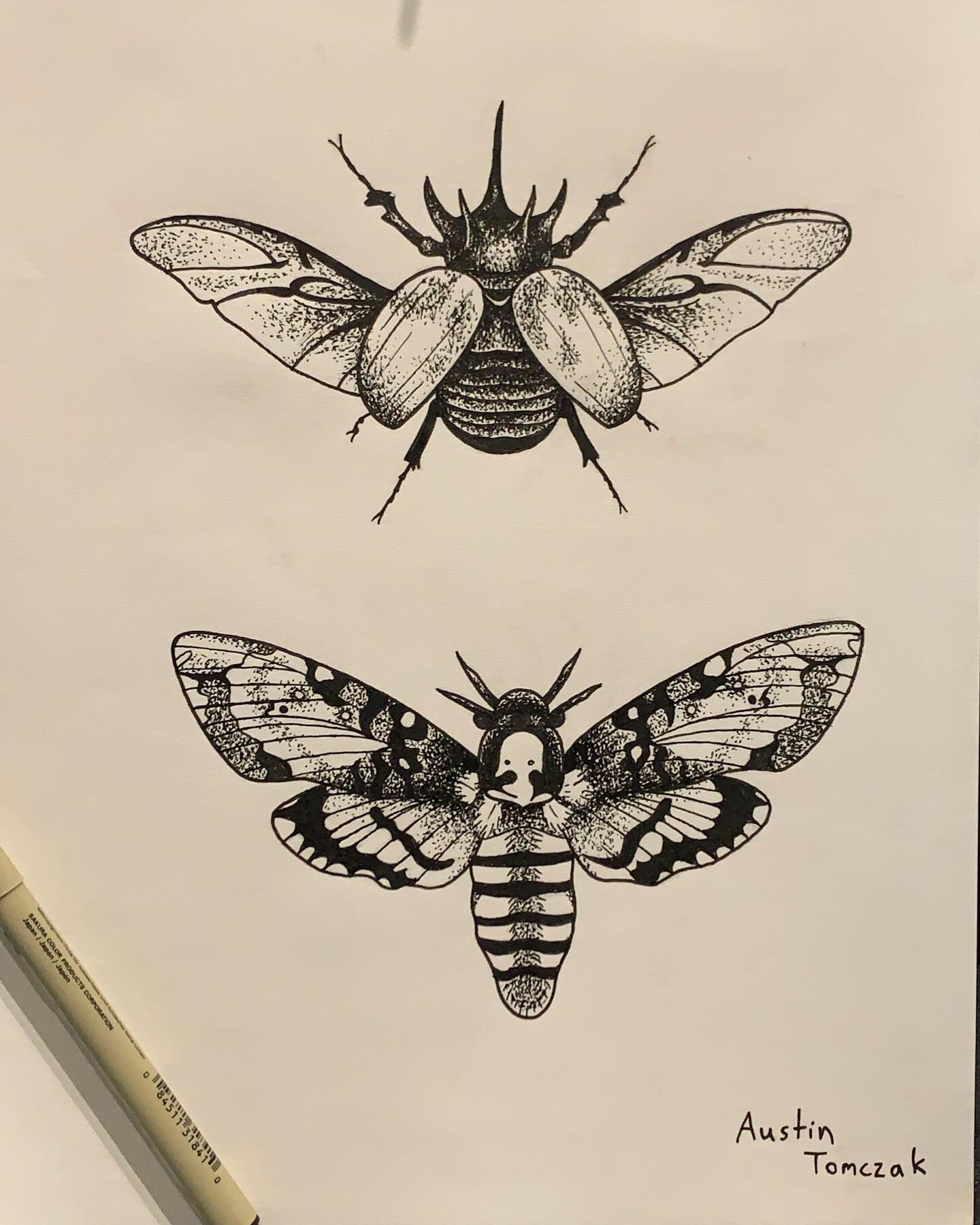 Some more hand-drawn designs available to be tattooed!!!

#duluthmn #mntattooers #bugtattoo #insecttattoo #tattooflash #tattooartist